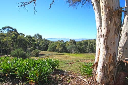 222 The Forest Road, BYWONG NSW 2621, Bywong - Thumbnail 3