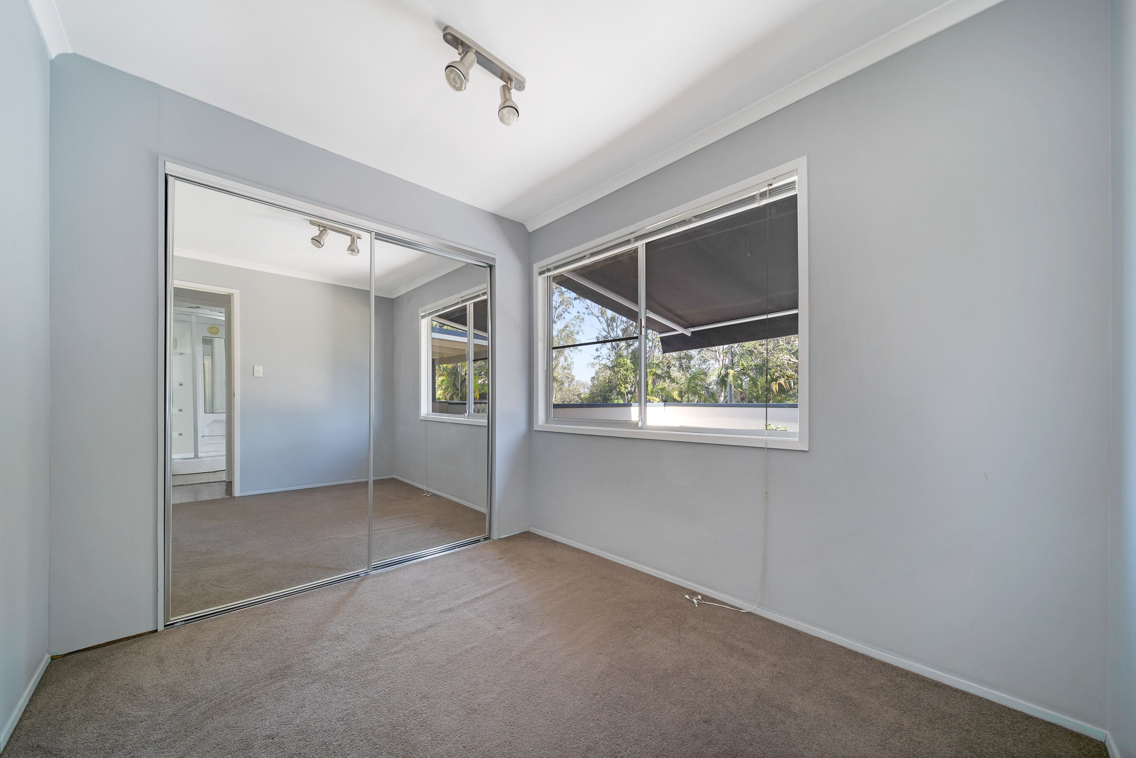 21 Evergreen Avenue, Loganlea QLD 4131, Loganlea - Thumbnail 4