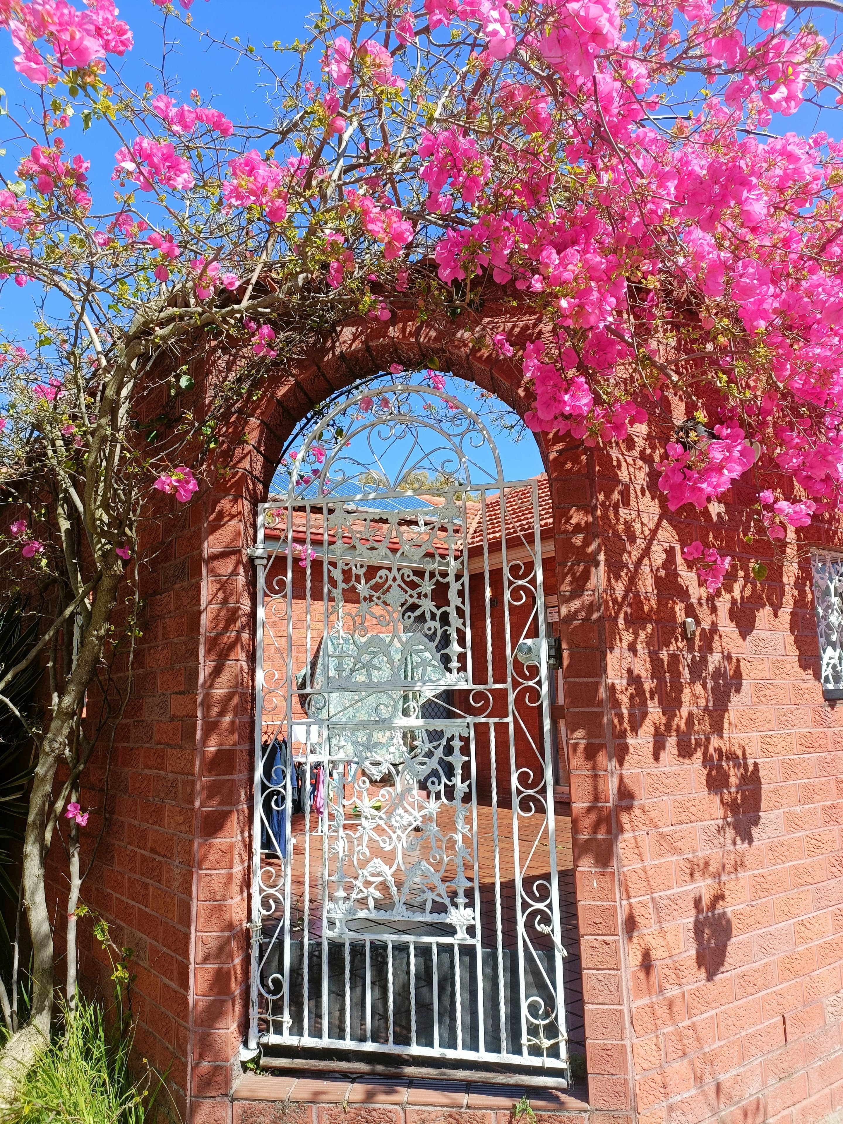 28 Hazelglen Avenue, Panania NSW 2213, Panania - Thumbnail 2