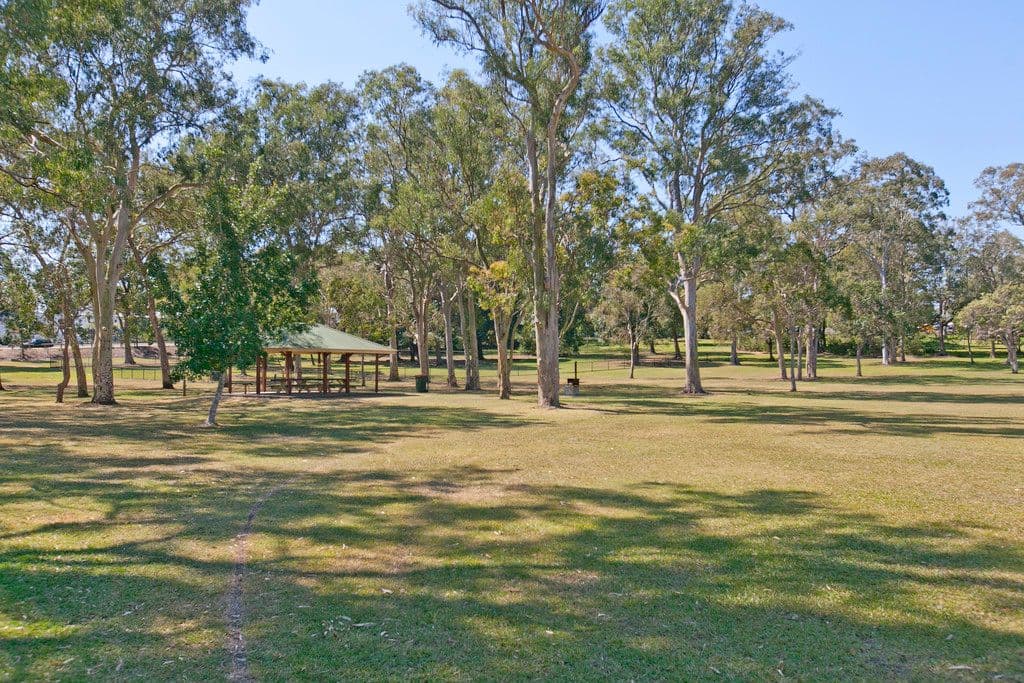 66 Hamilton Street, TINGALPA QLD 4173, Tingalpa - Thumbnail 2