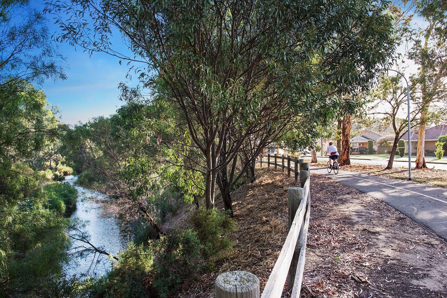29 Torres Avenue, Flinders Park SA 5025, Flinders Park - Thumbnail 6