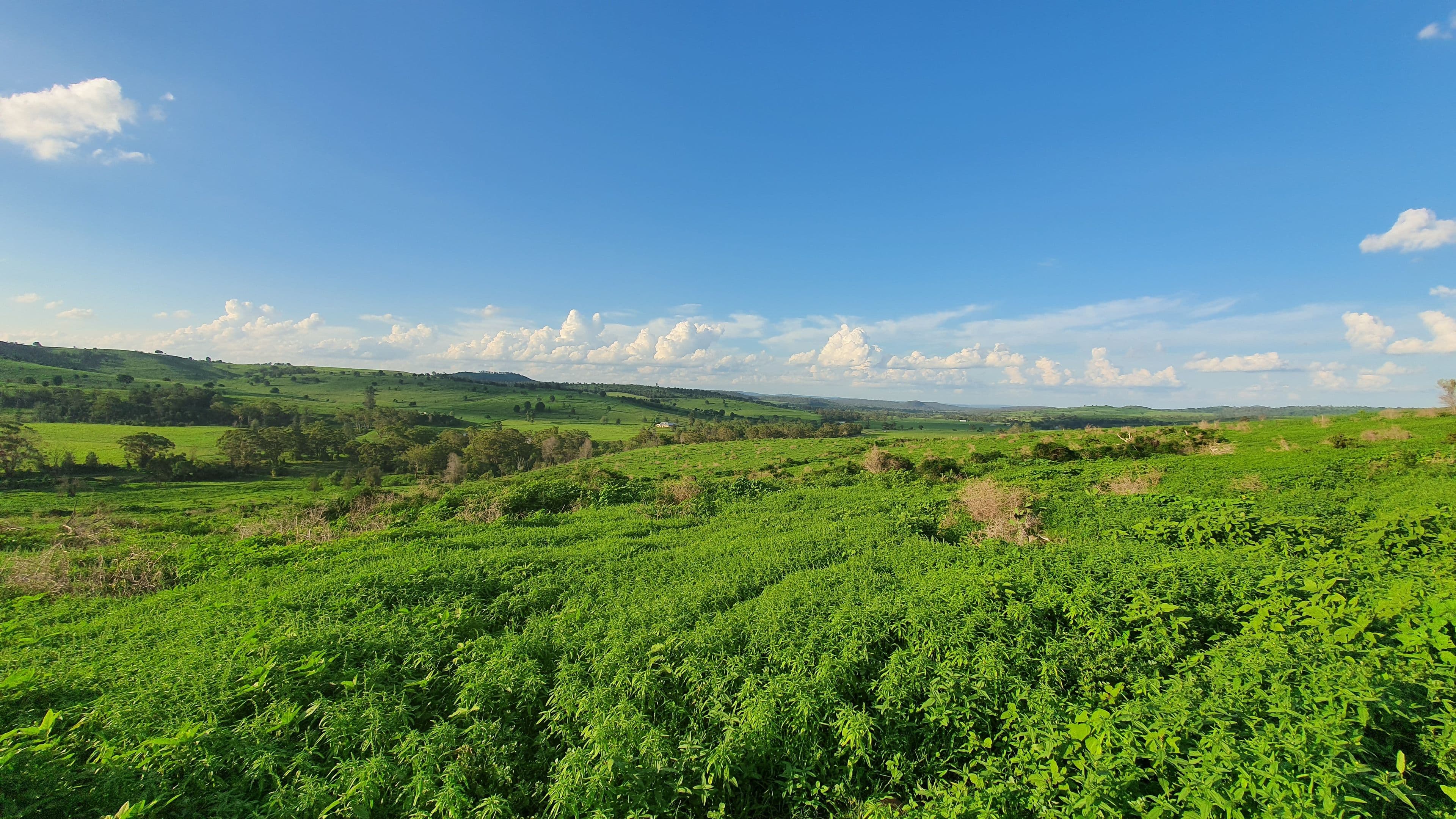 L1 Djuan Road, Haden QLD 4353, Haden - Thumbnail 2