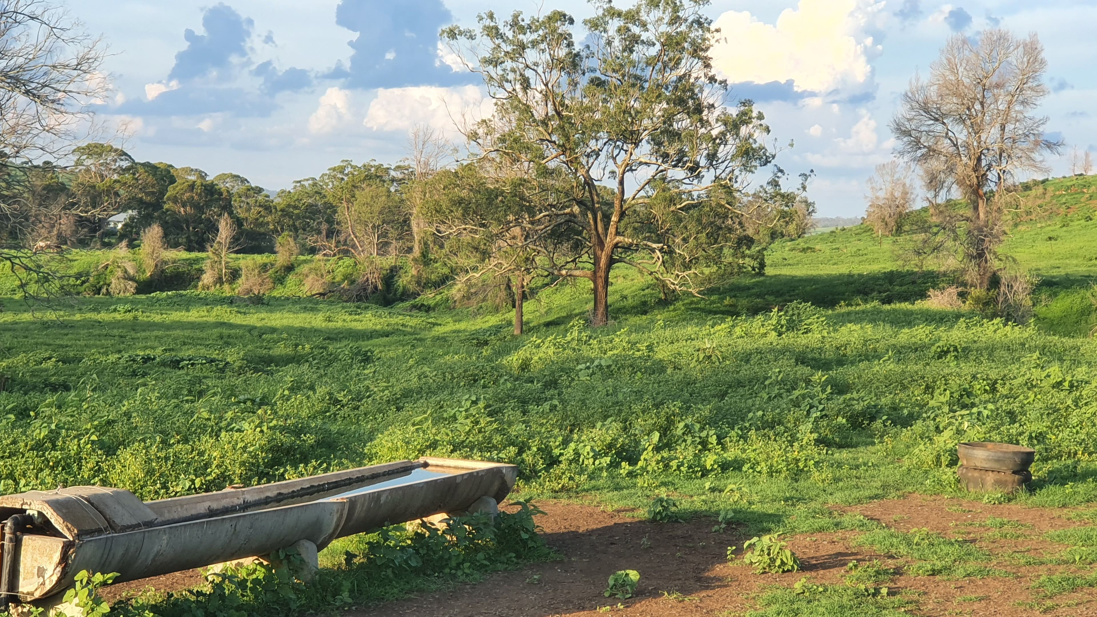 L1 Djuan Road, Haden QLD 4353, Haden - Thumbnail 4
