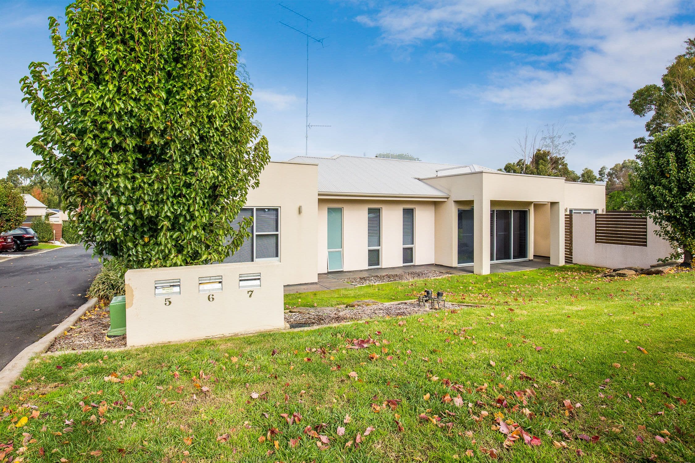 13 Allison Street, Mount Gambier SA 5290, Mount Gambier - Thumbnail 2