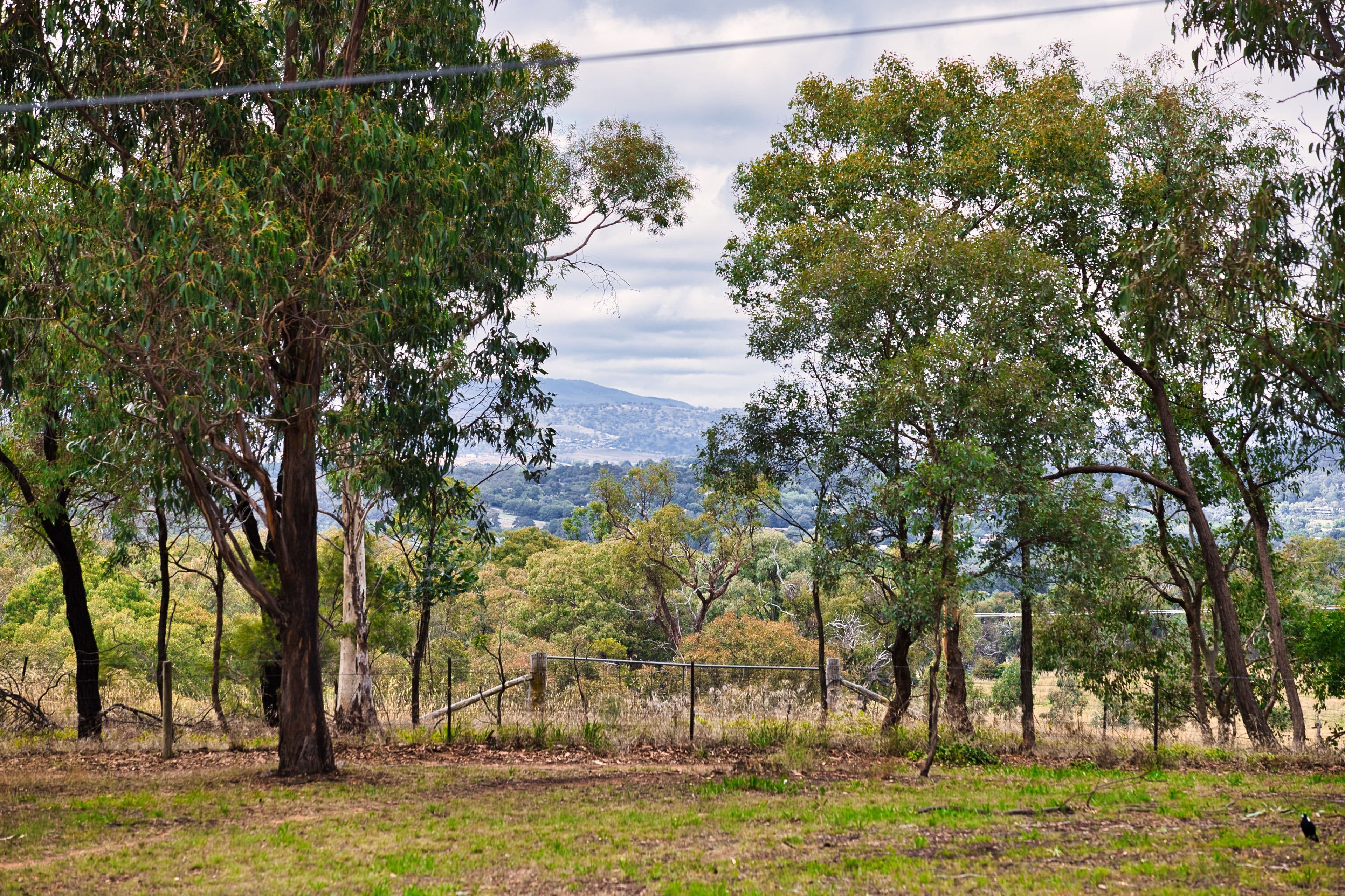 53 Mackellar Crescent, Cook ACT 2614, Cook - Thumbnail 3