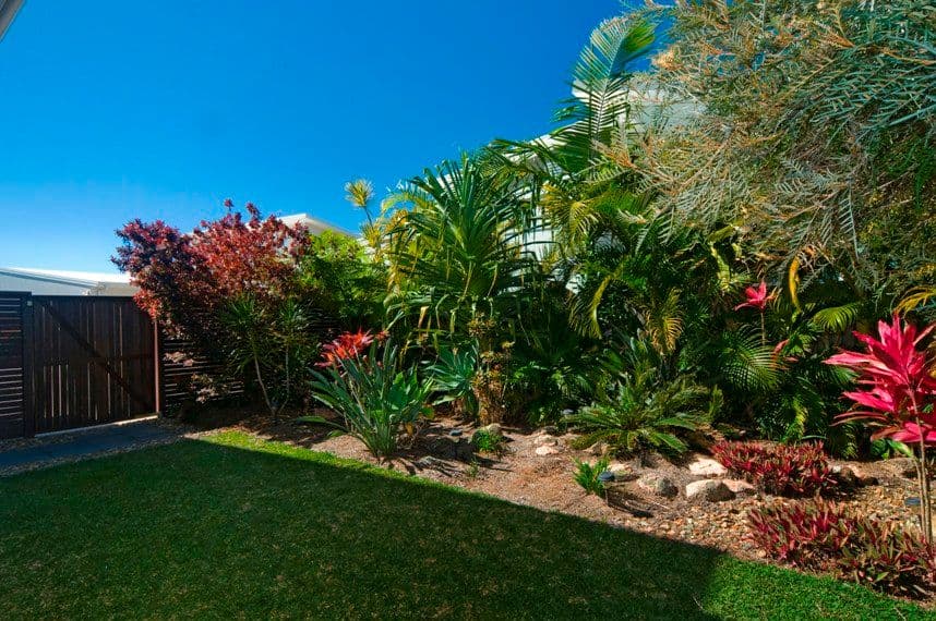 37 Boardrider Crescent, MOUNT COOLUM QLD 4573, Mount Coolum - Thumbnail 4