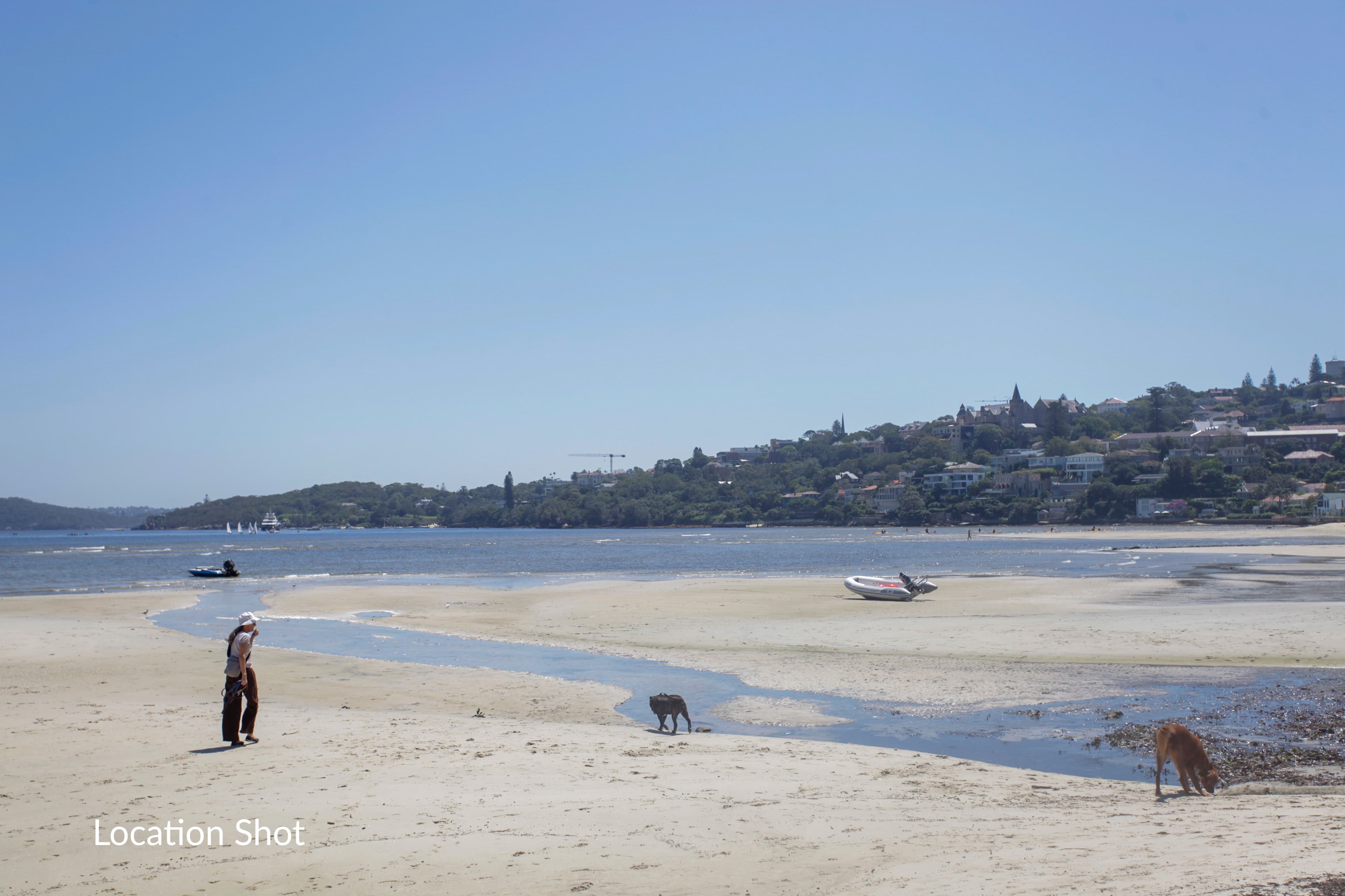 533 Old South Head Road, Rose Bay NSW 2029, Rose Bay - Thumbnail 7