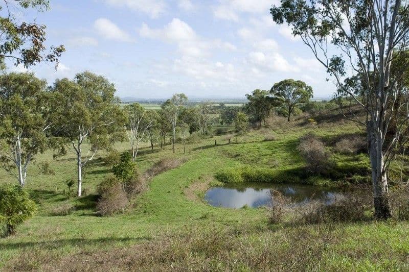 1 Starr Road, SARINA QLD 4737, Sarina - Thumbnail 3