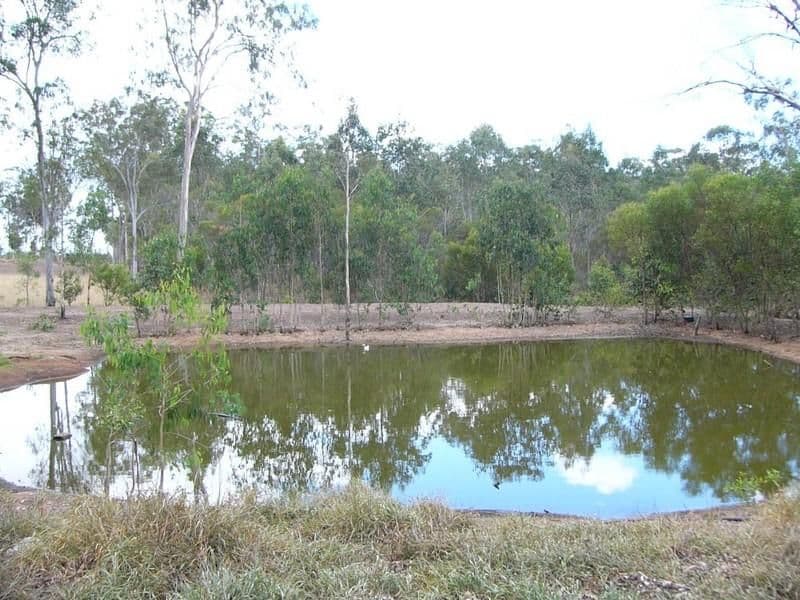 3 Corella Court, BUCCA QLD 4670, Bucca - Thumbnail 6