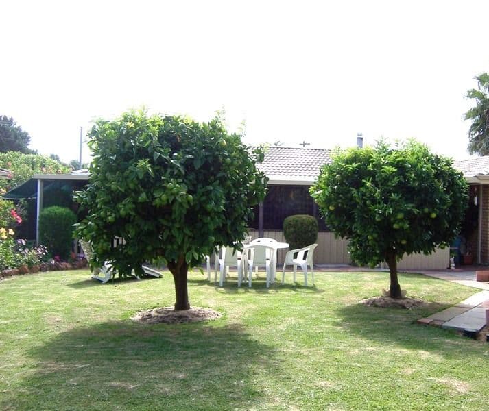 6 River Court, GREENFIELDS WA 6210, Greenfields - Thumbnail 4