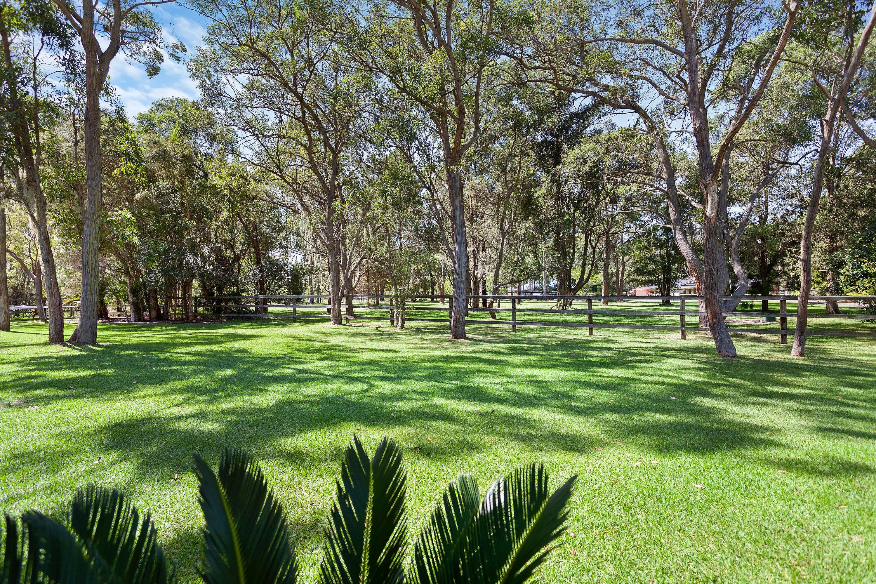 60 Burlington Avenue, Jilliby - Thumbnail 4