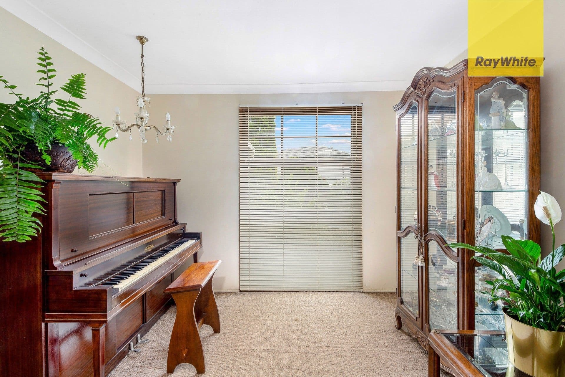 52 Windermere Avenue, Northmead NSW 2152, Northmead - Thumbnail 6