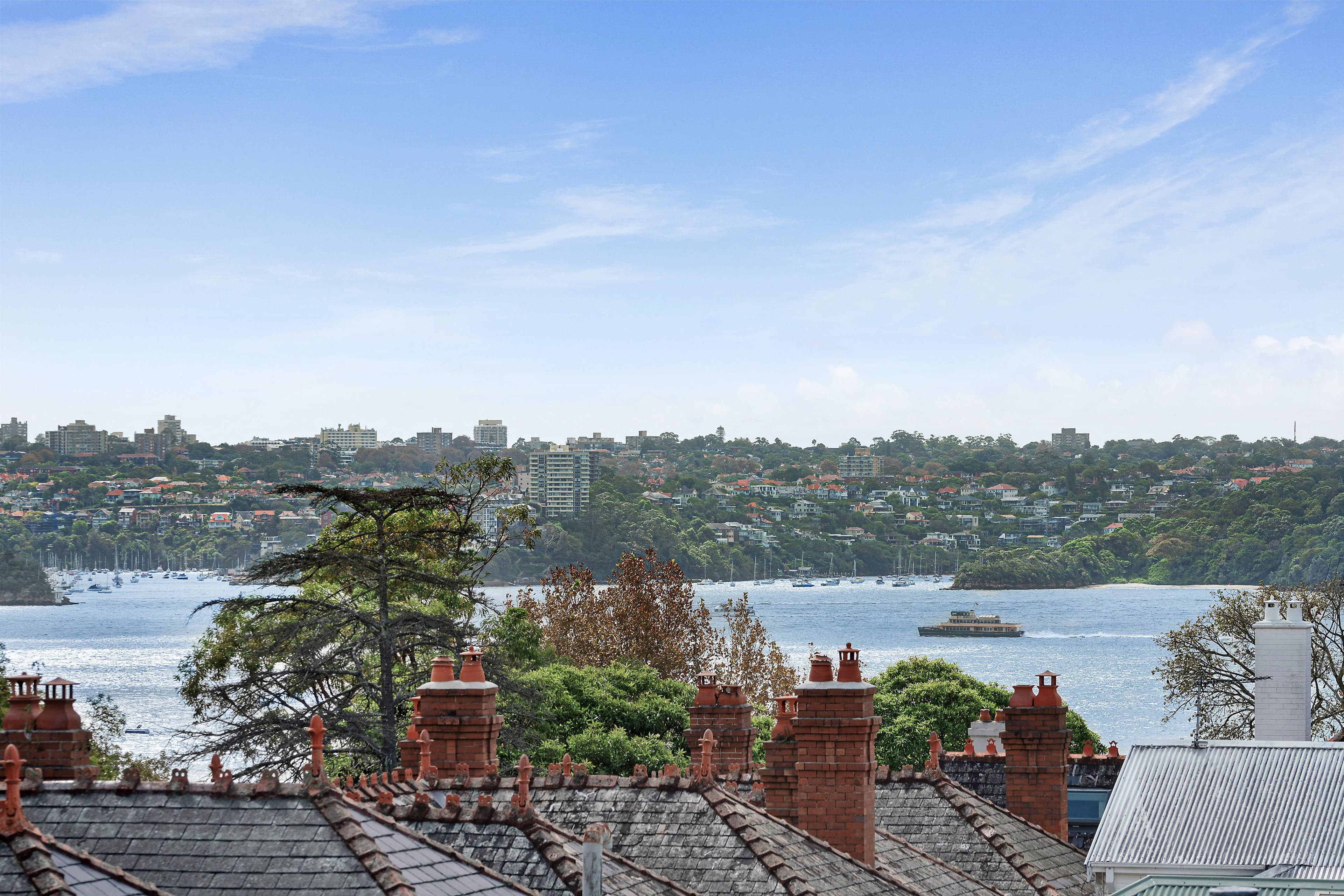 121-123 Darling Point Road, Darling Point NSW 2027, Darling Point - Thumbnail 2