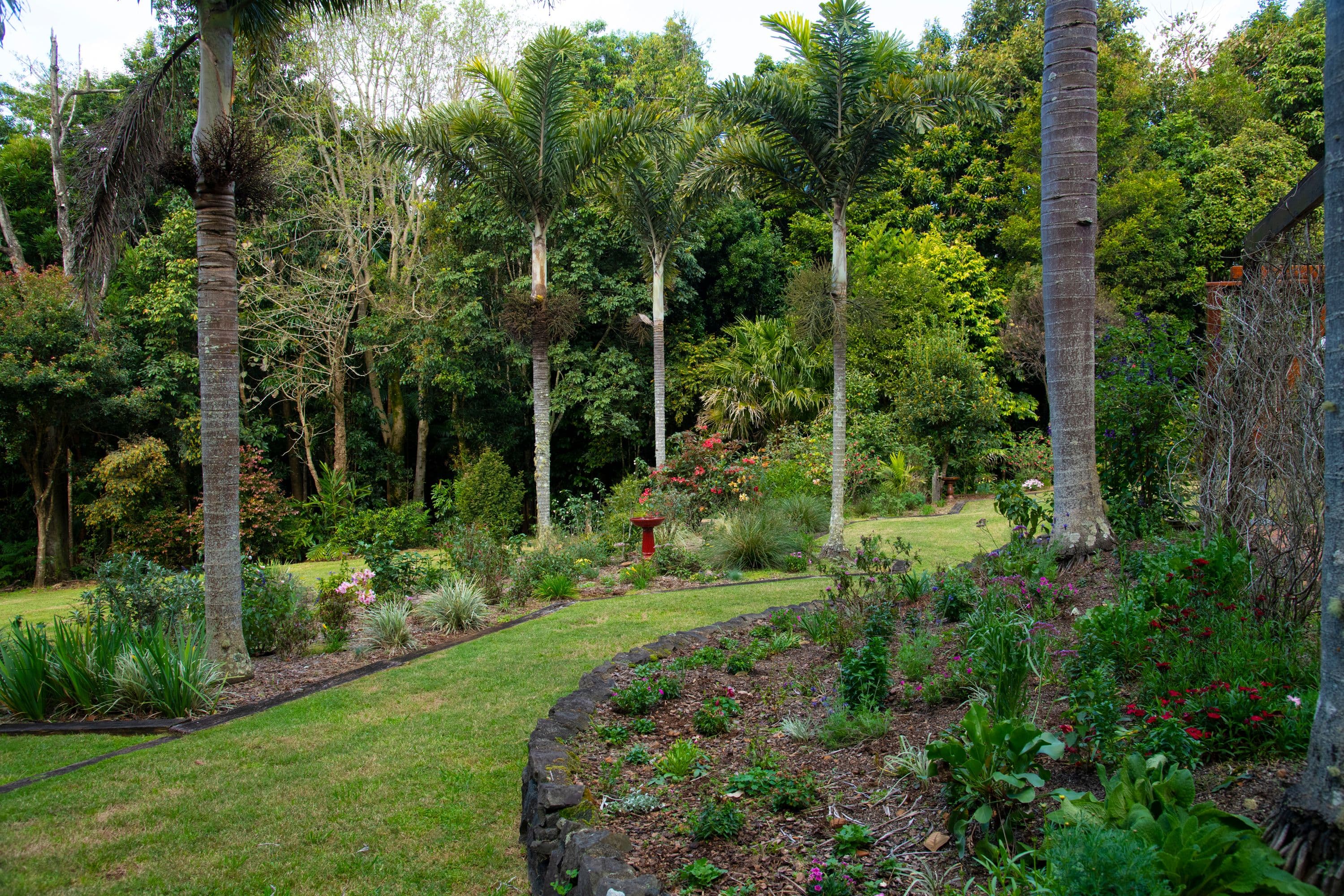 46 Obi Lane South, Maleny QLD 4552, Maleny - Thumbnail 5