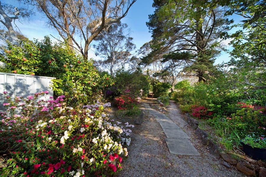 7 Evans Lookout Road, BLACKHEATH NSW 2785, Blackheath - Thumbnail 7
