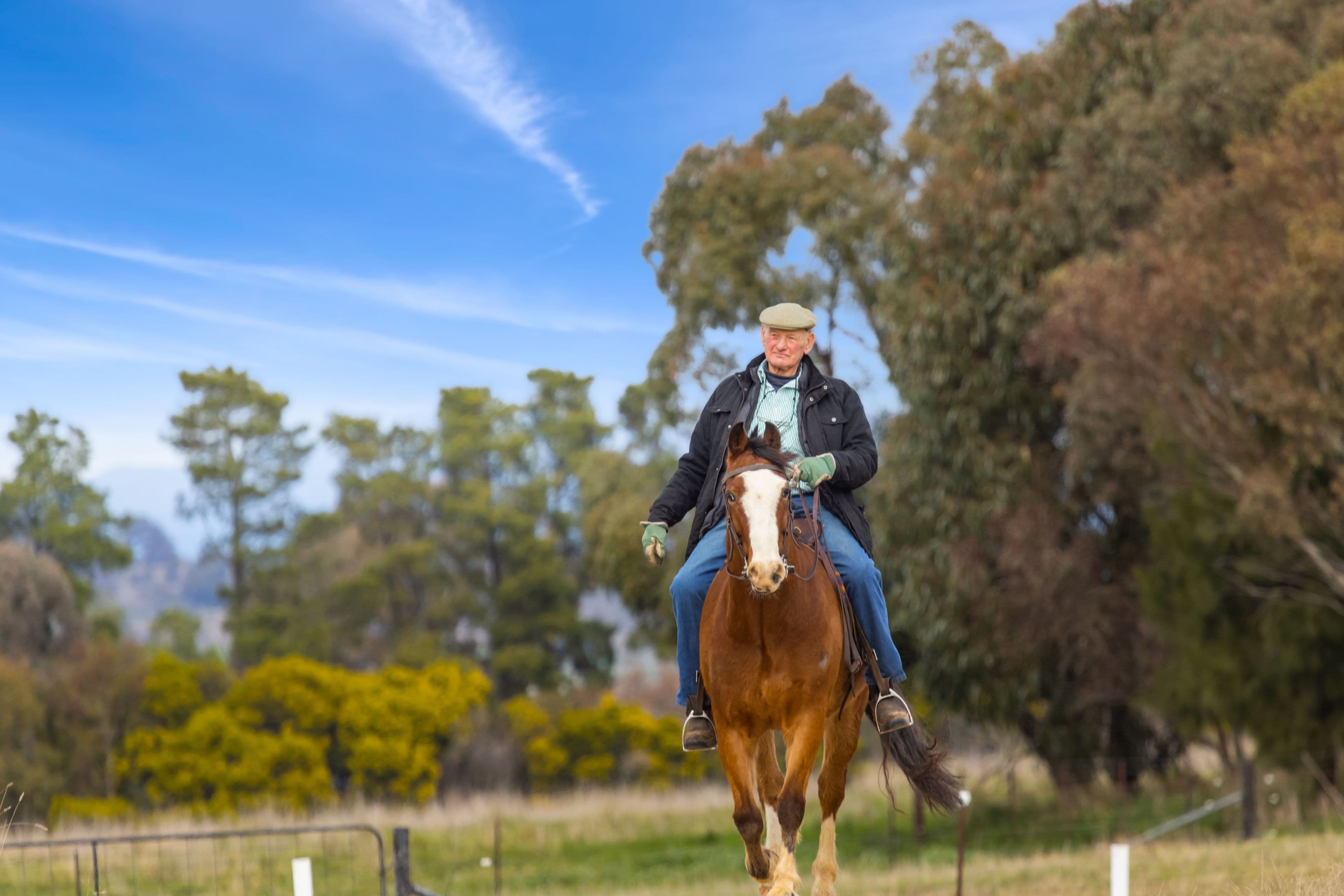 'Brumby Block' 266 Gooda Creek Road, Murrumbateman NSW 2582, Murrumbateman - Image 1