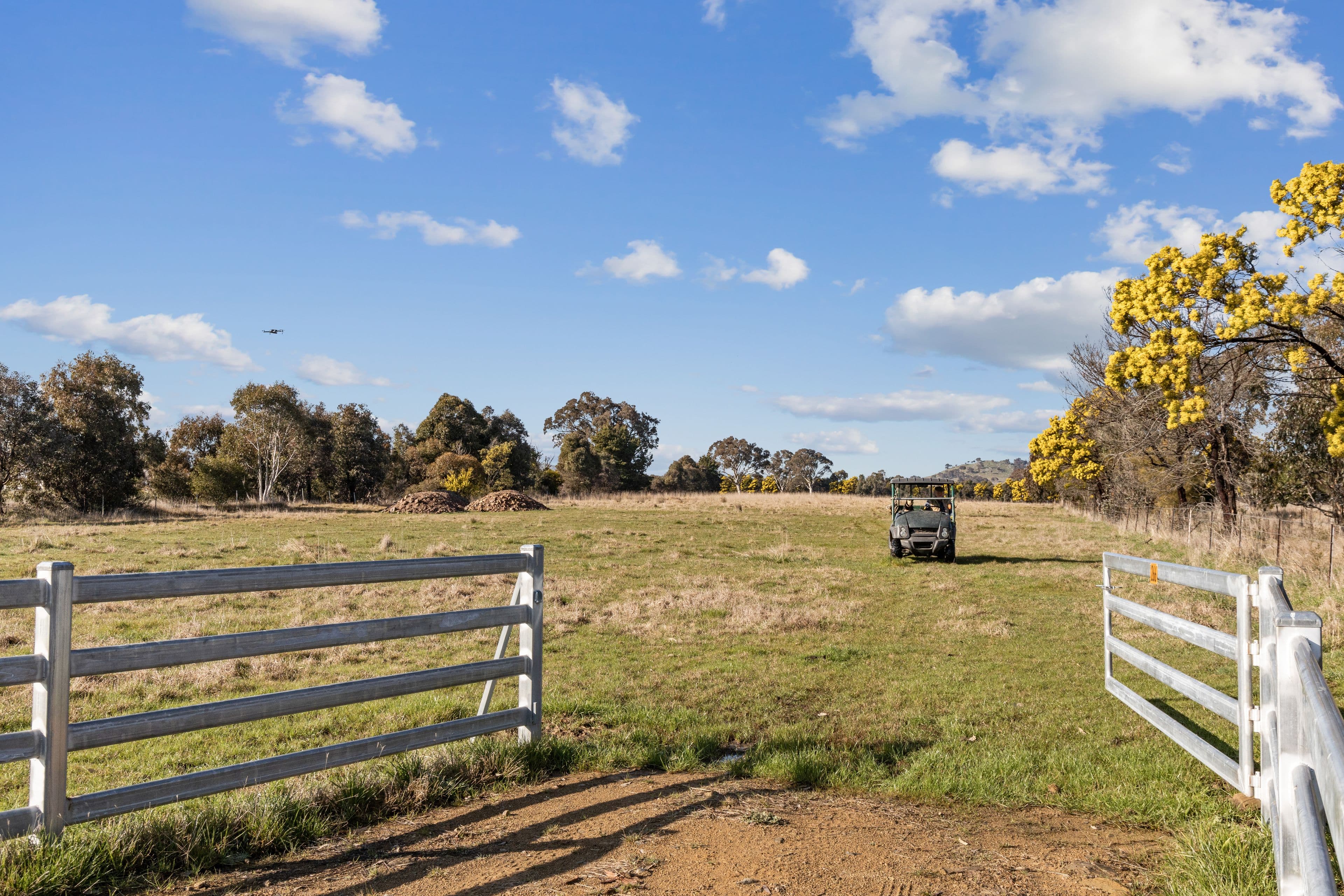 'Brumby Block' 266 Gooda Creek Road, Murrumbateman NSW 2582, Murrumbateman - Thumbnail 3