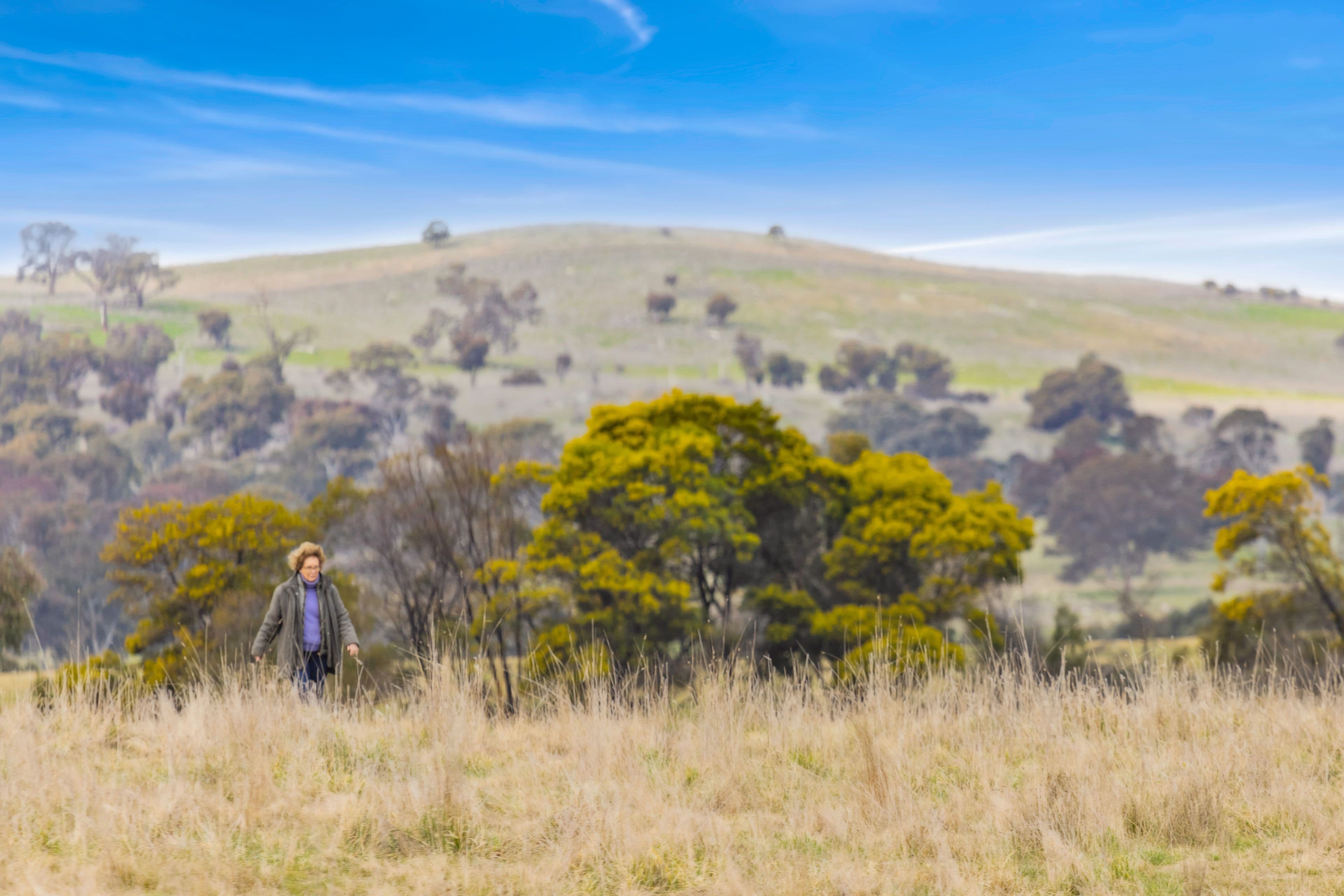 'Brumby Block' 266 Gooda Creek Road, Murrumbateman NSW 2582, Murrumbateman - Thumbnail 6