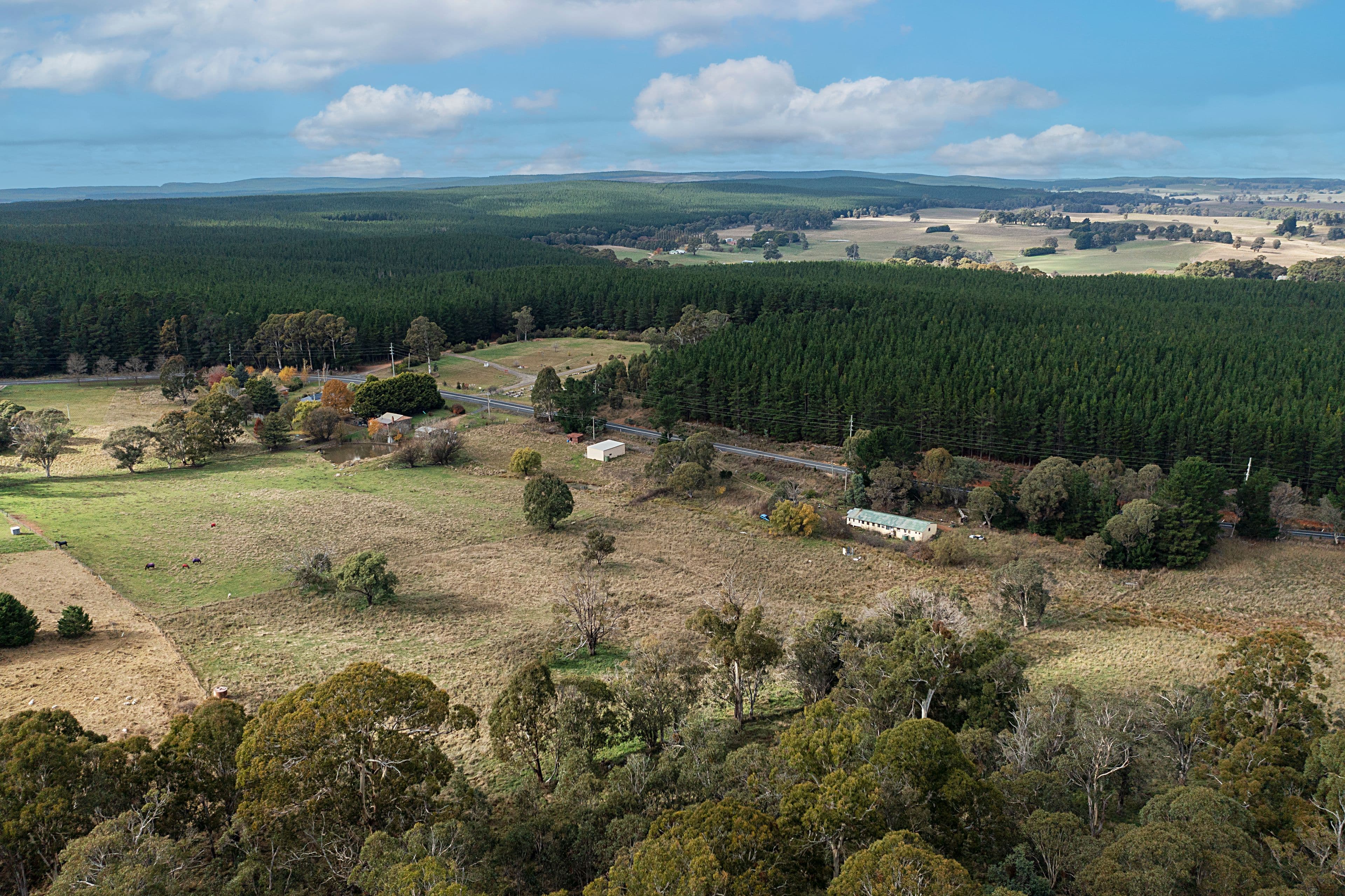 64 Campbells River Road, Black Springs NSW 2787, Black Springs - Thumbnail 6