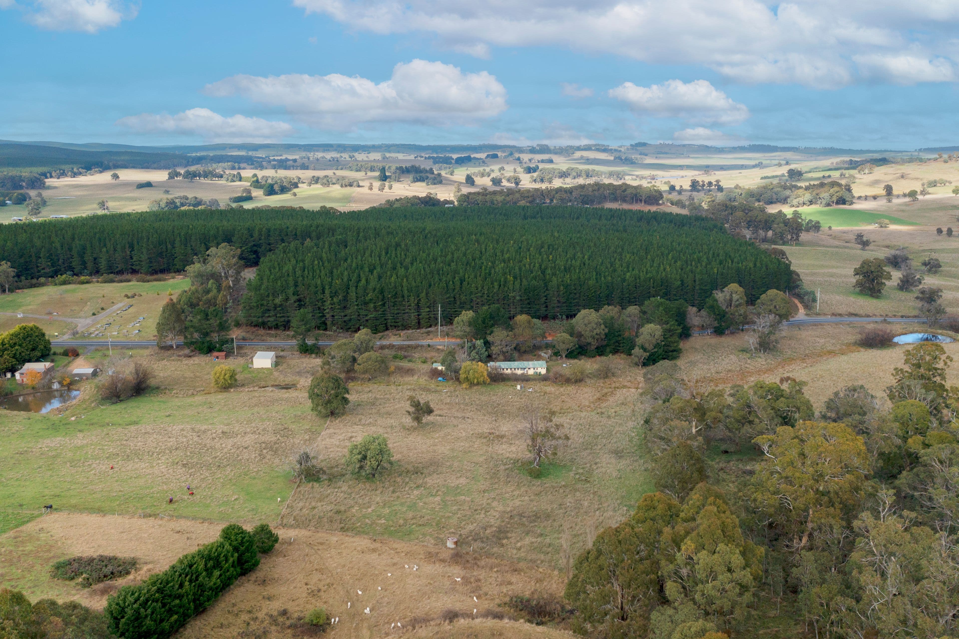 64 Campbells River Road, Black Springs NSW 2787, Black Springs - Thumbnail 7