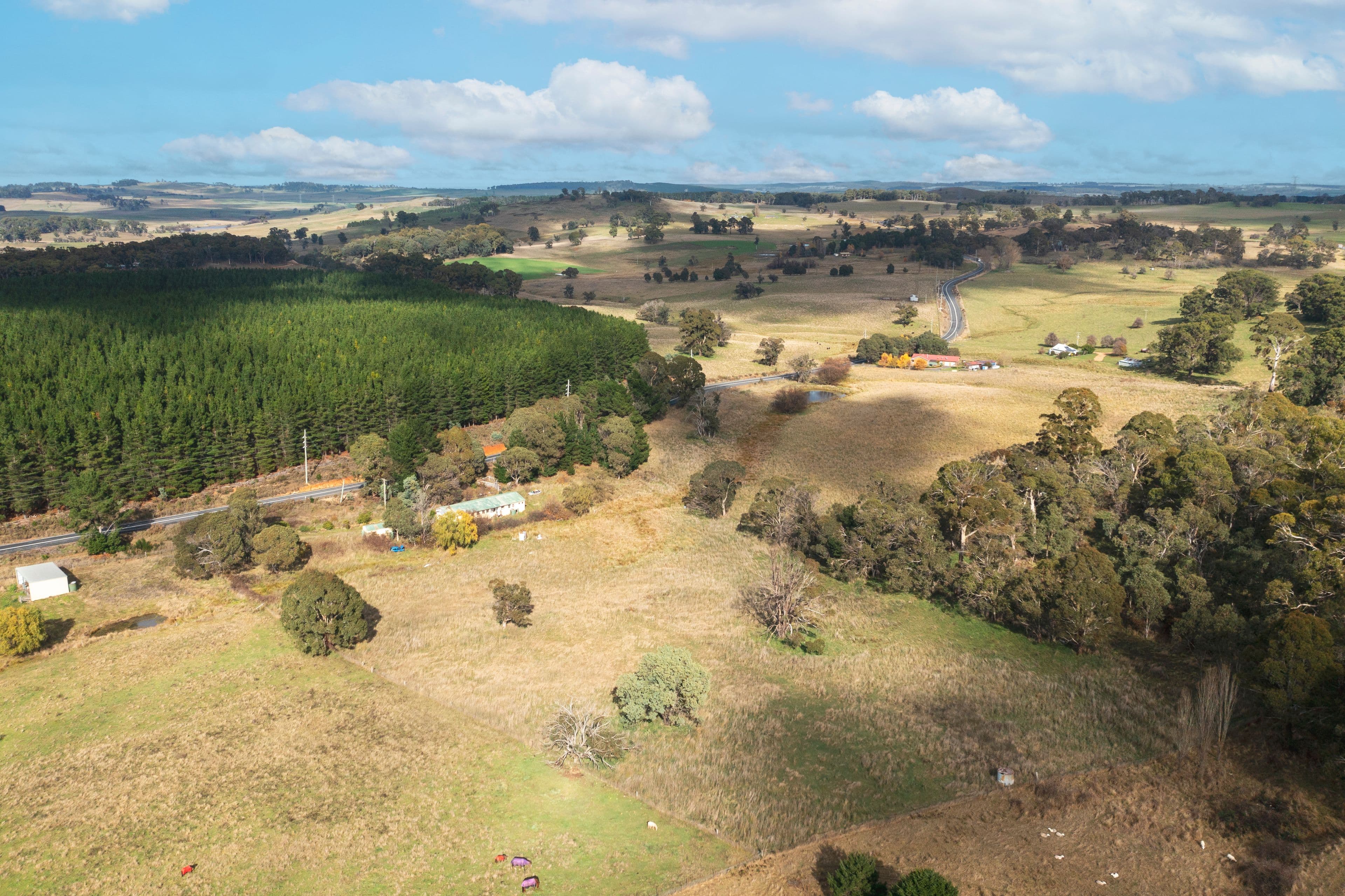 64 Campbells River Road, Black Springs NSW 2787, Black Springs - Thumbnail 8