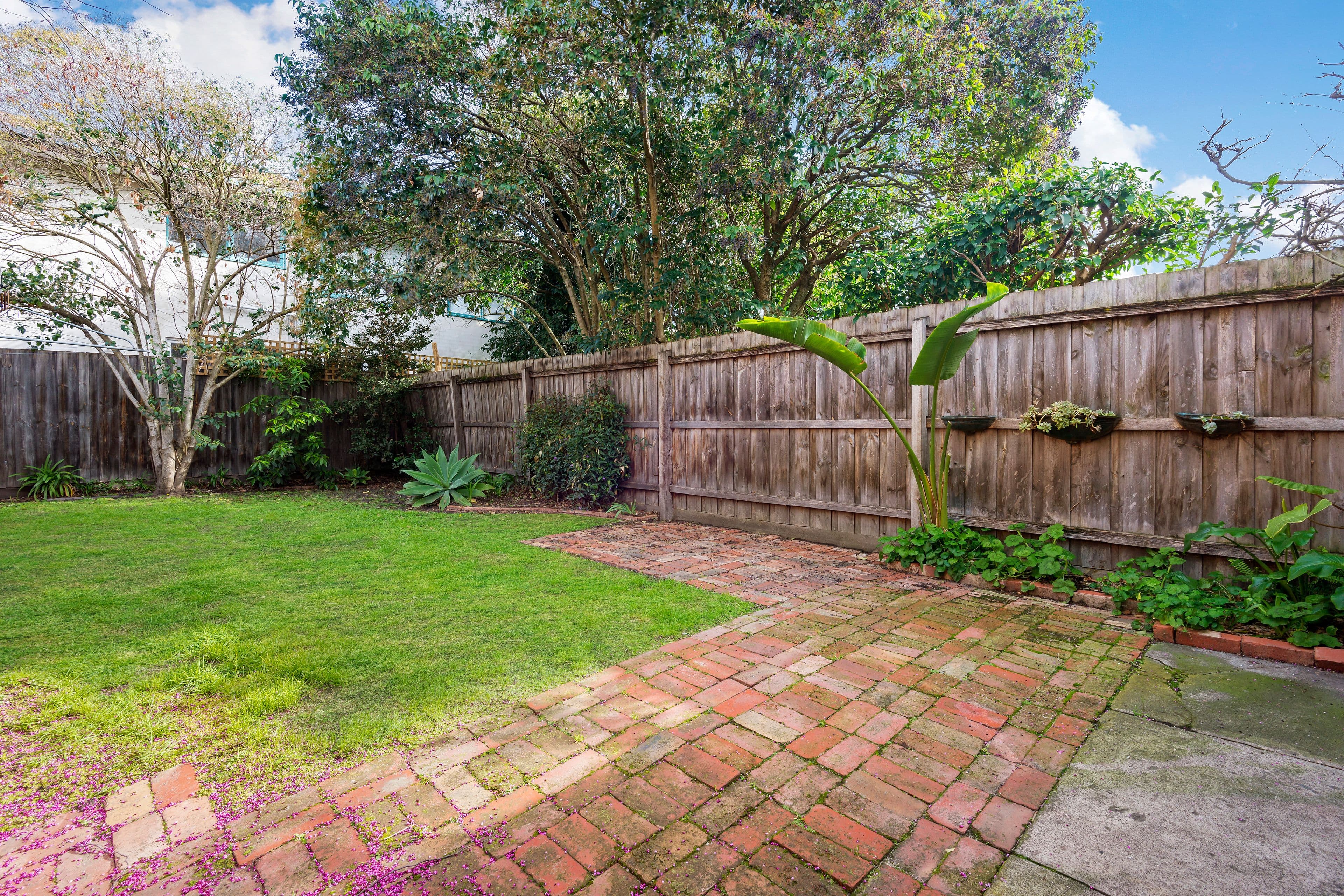 3 Sydney Street, Murrumbeena VIC 3163, Murrumbeena - Thumbnail 4