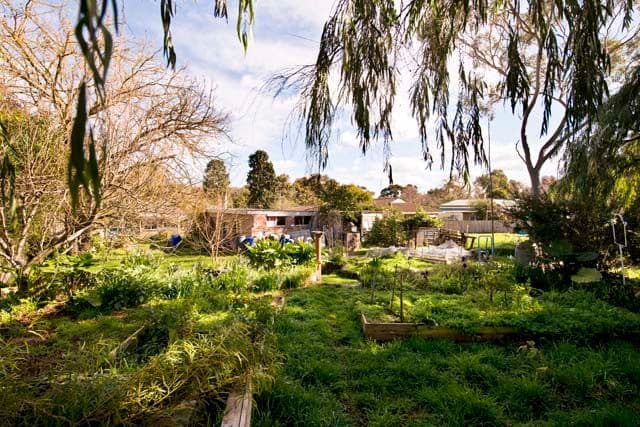 113 Underwood Road, FERNTREE GULLY VIC 3156, Ferntree Gully - Thumbnail 8