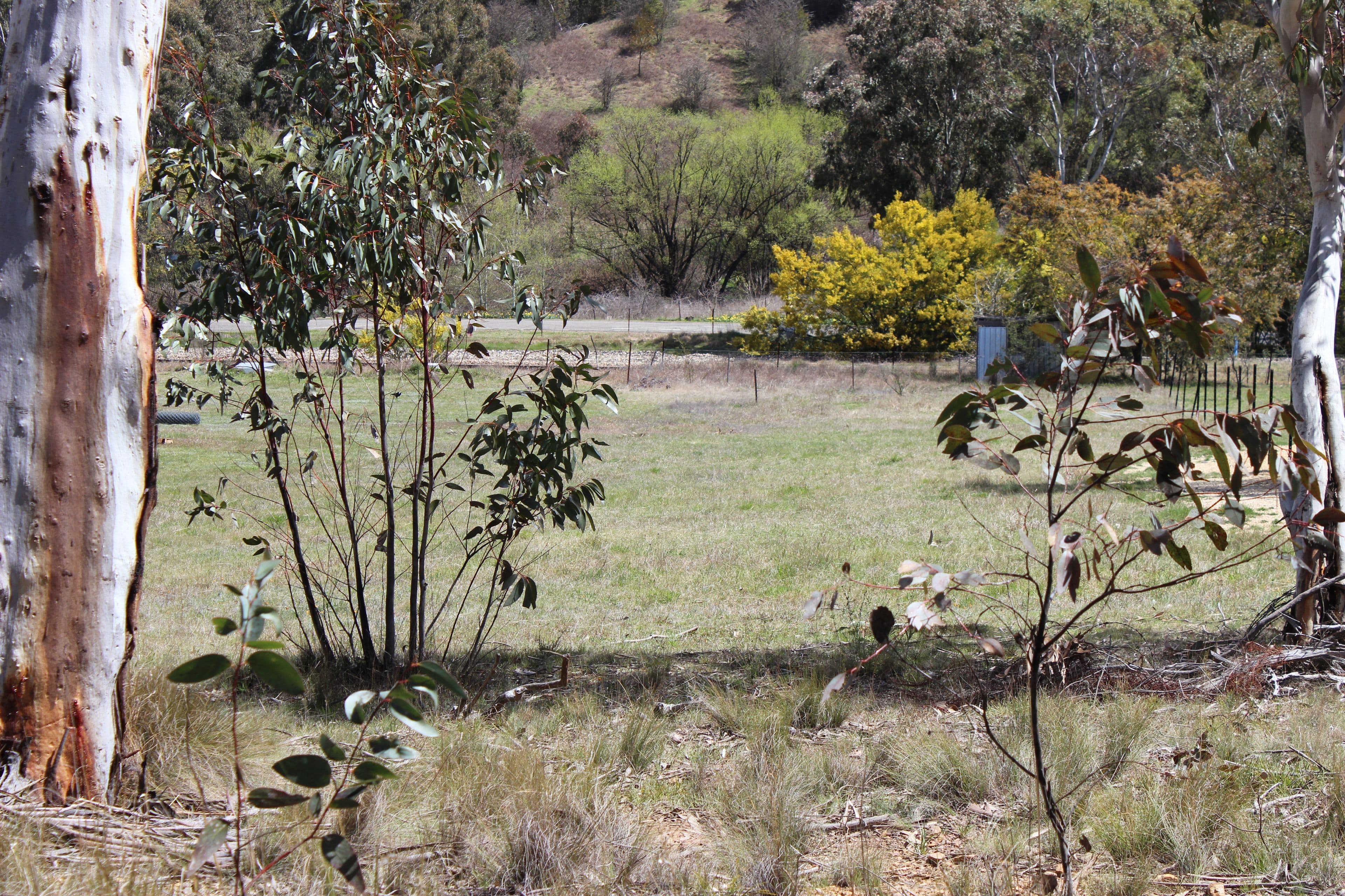 Lot 6 Cartwright Street, Rydal NSW 2790, Rydal - Thumbnail 2