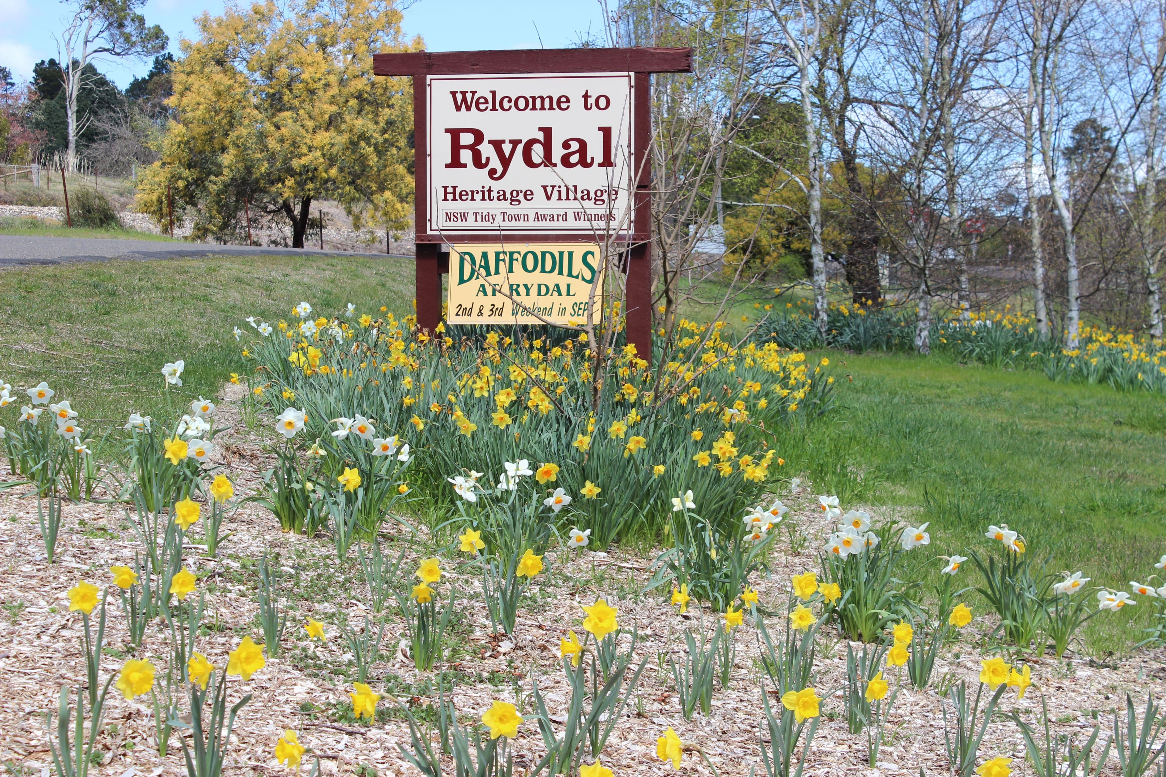 Lot 6 Cartwright Street, Rydal NSW 2790, Rydal - Thumbnail 3