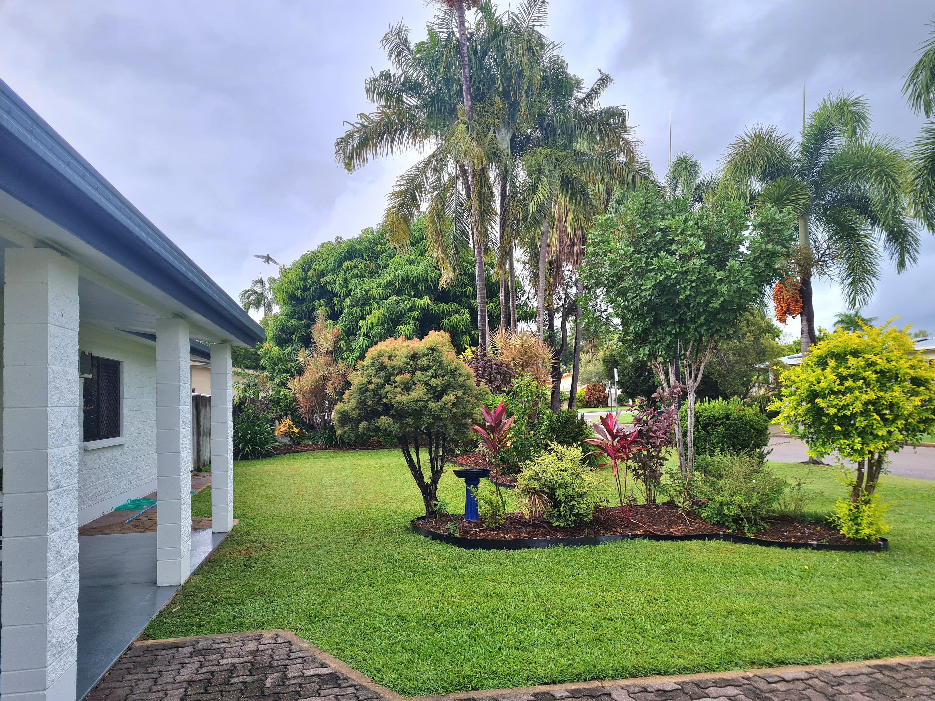 24 Oleander Street, Annandale QLD 4814, Annandale - Thumbnail 4