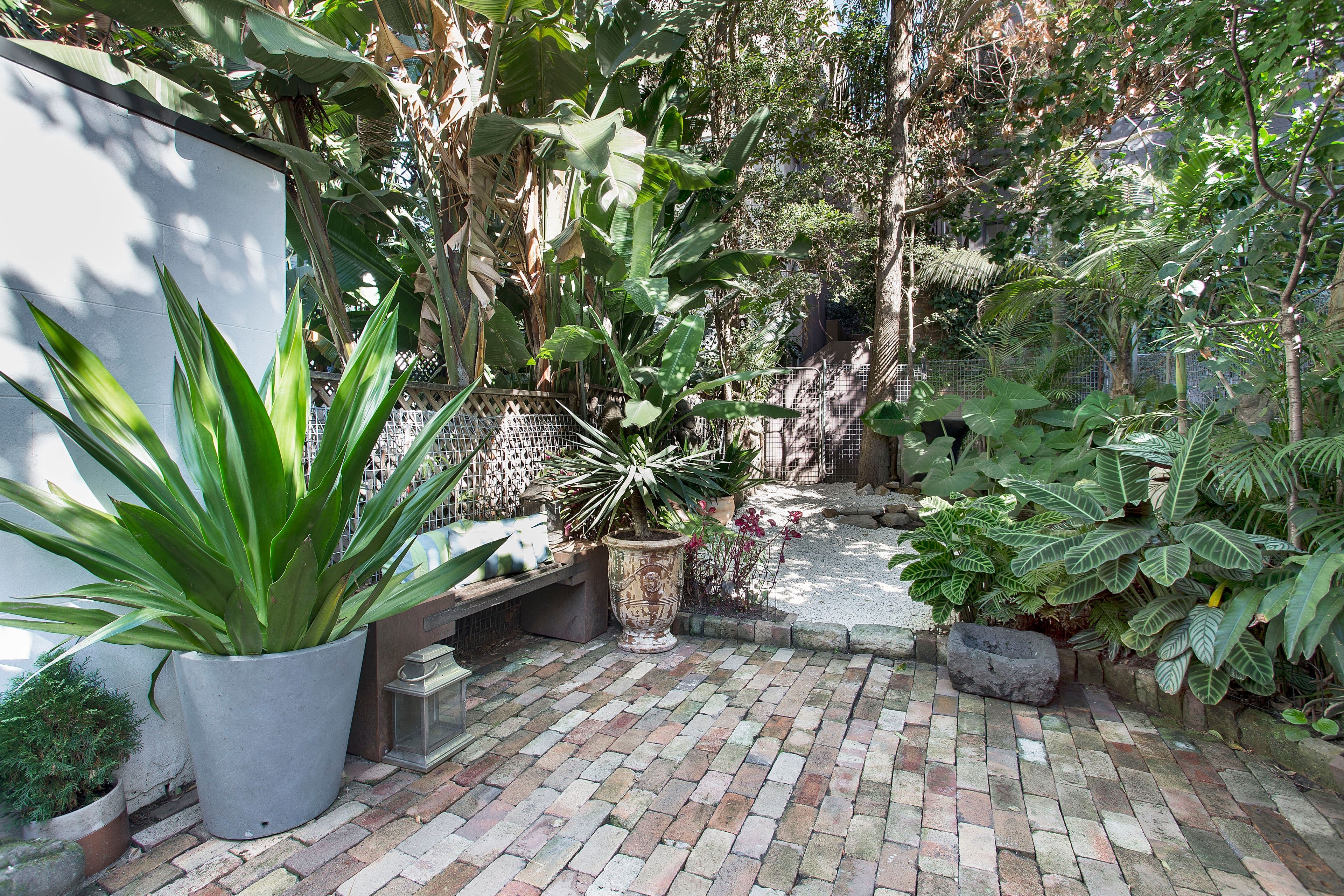 49 Roslyn Street, Rushcutters Bay - Thumbnail 5