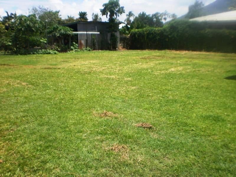 15 Simmonds Street, GORDONVALE QLD 4865, Gordonvale - Thumbnail 2