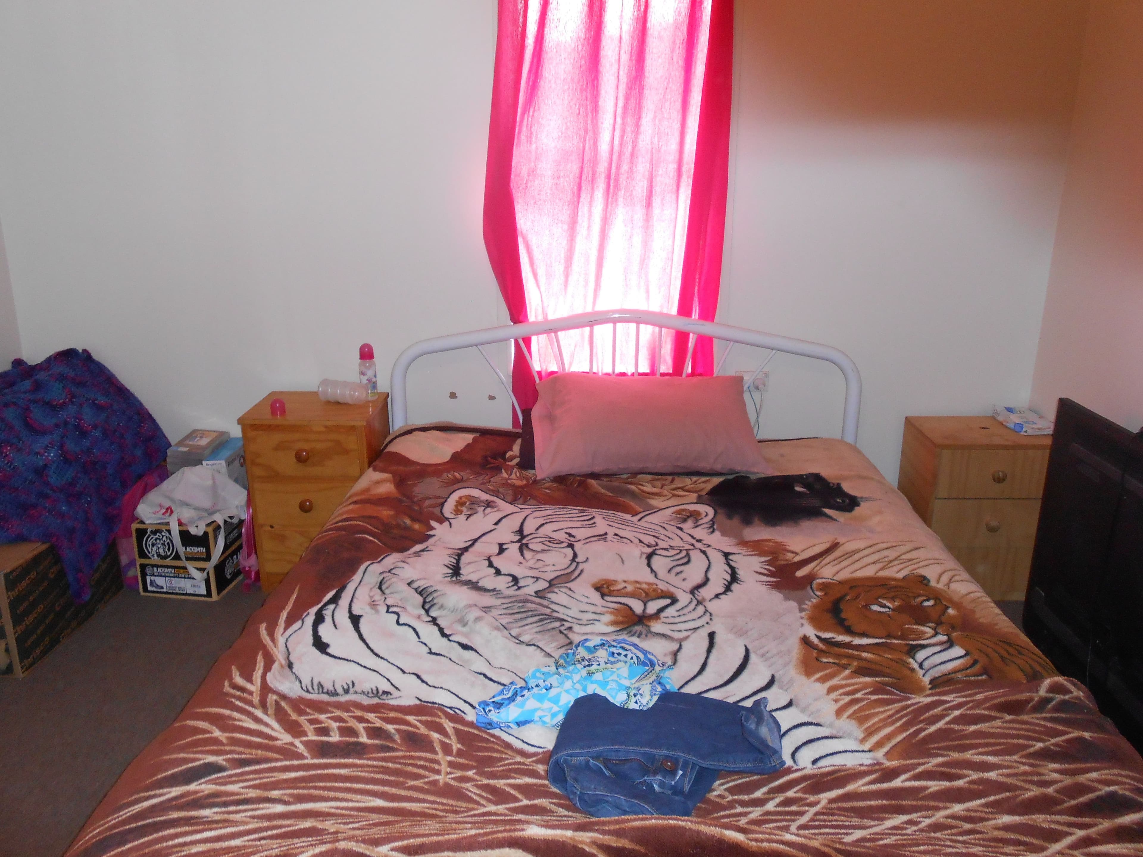 37 Cole Road, Tamworth NSW 2340, Tamworth - Thumbnail 4