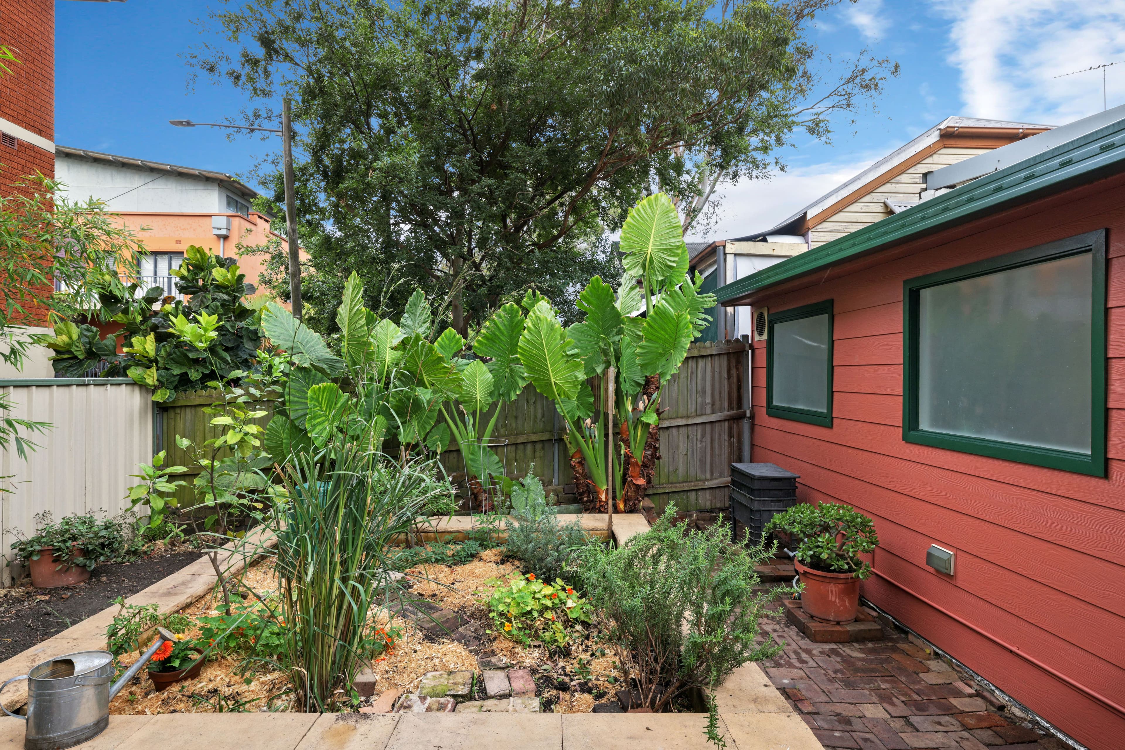 2 Raper Street, Newtown NSW 2042, Newtown - Thumbnail 4
