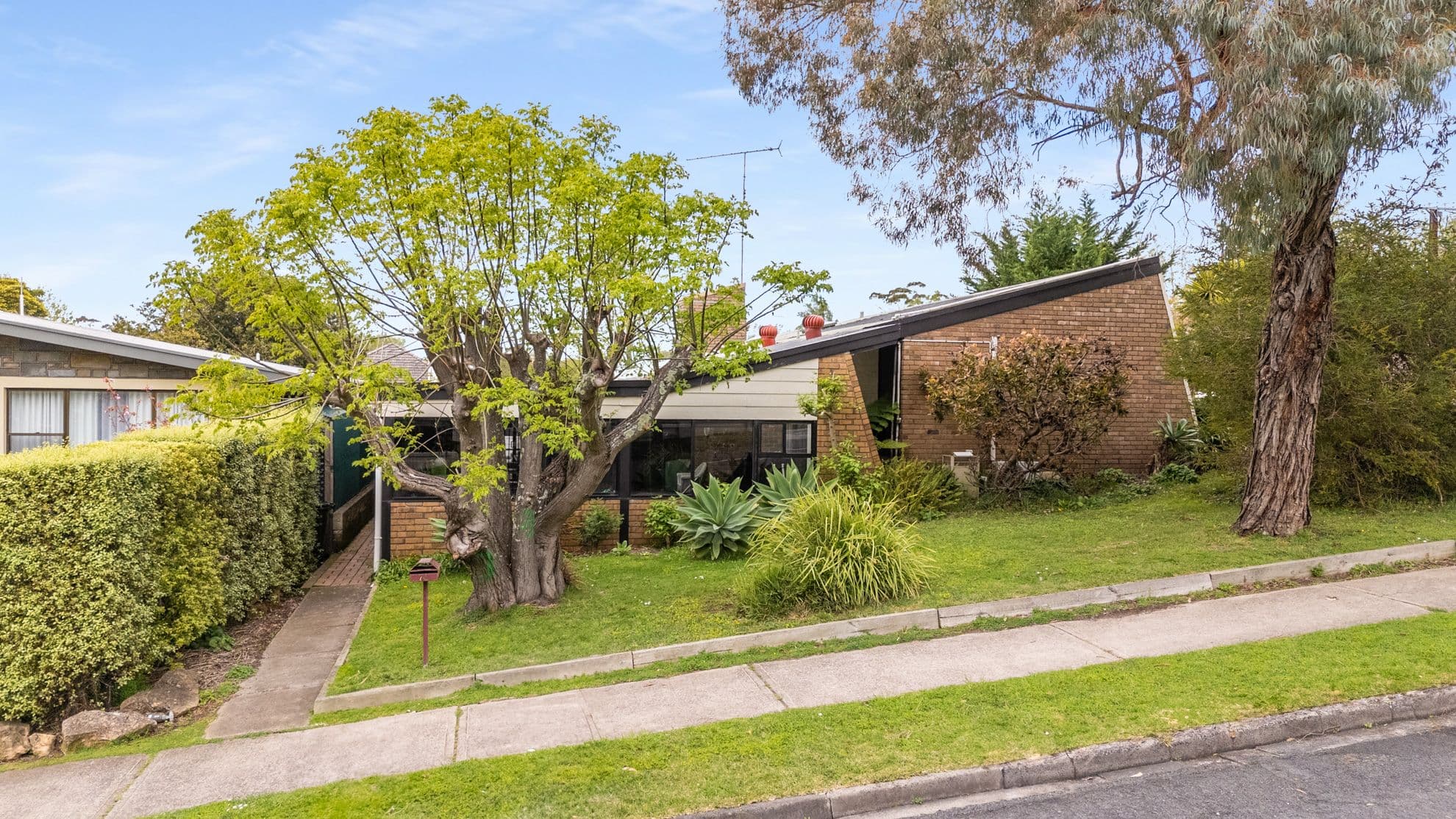 73 Ferrers Street, Mount Gambier SA 5290, Mount Gambier - Thumbnail 2