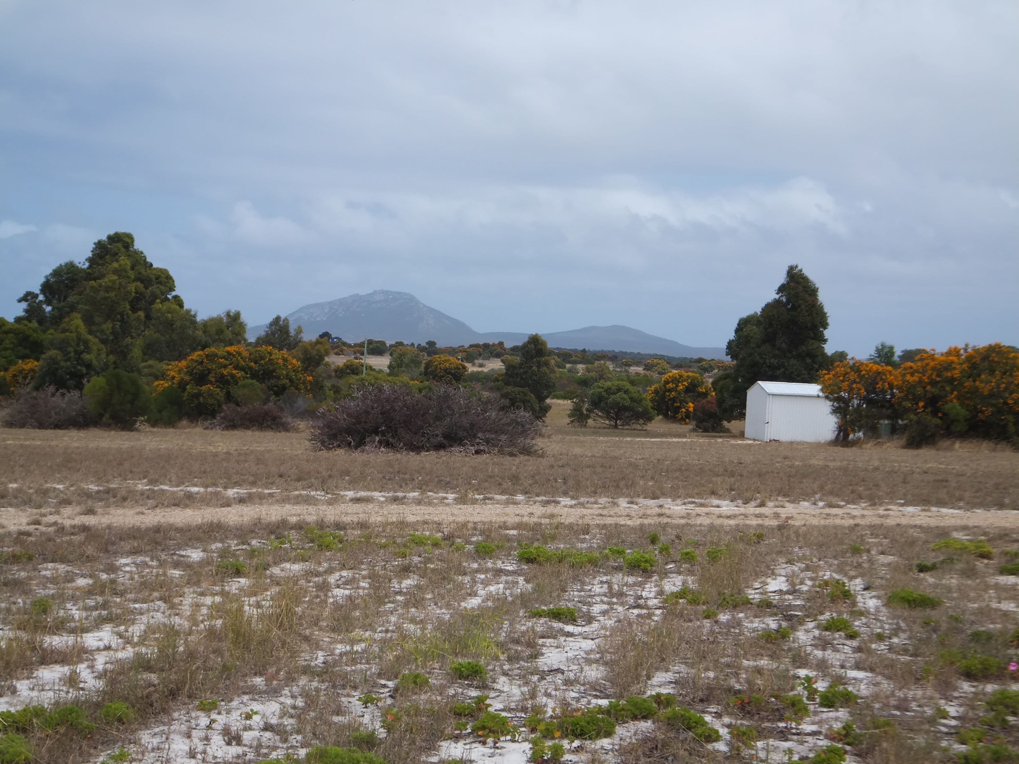 230 Cambewarra Drive, Hopetoun WA 6348, Hopetoun - Thumbnail 2
