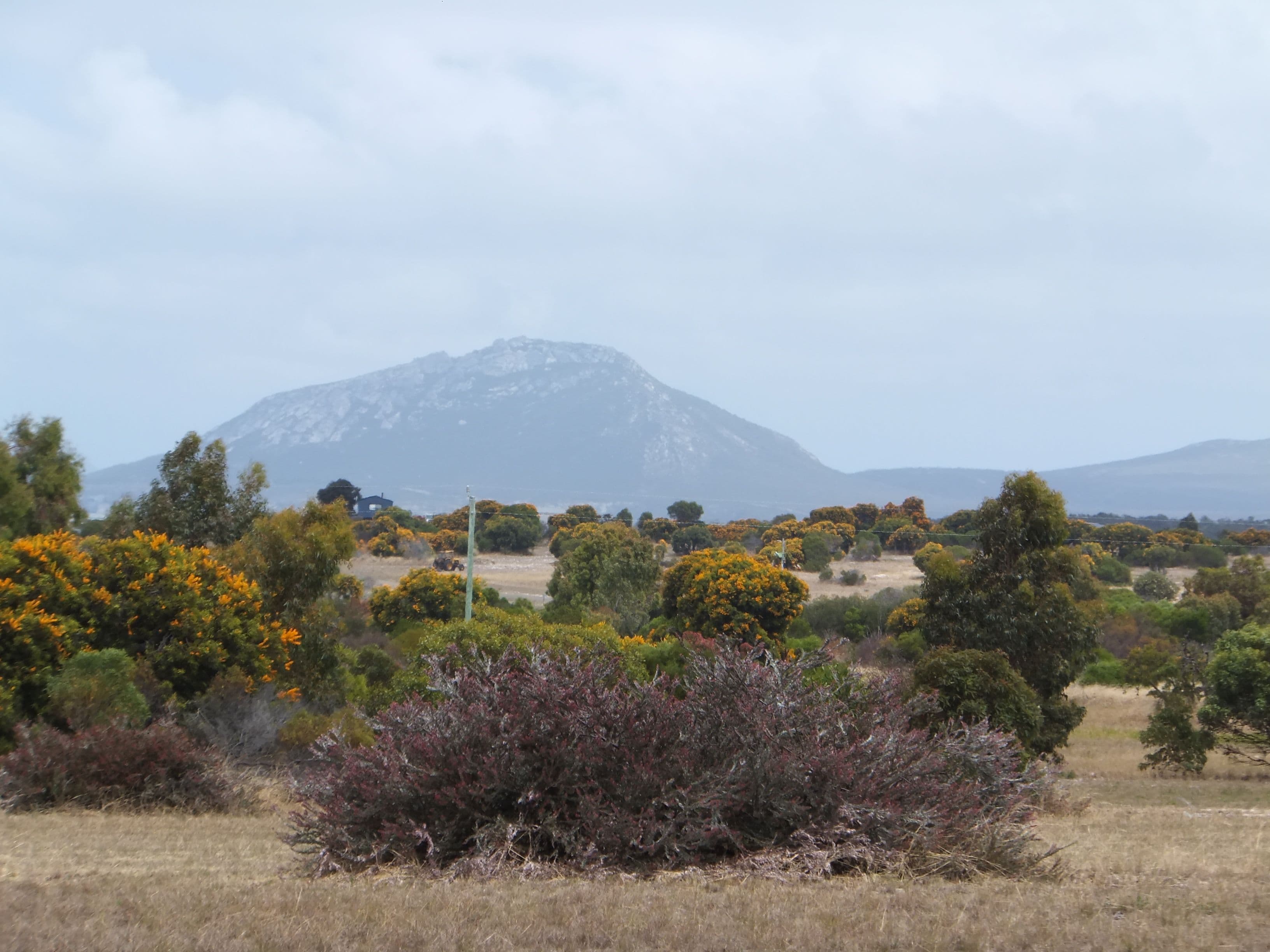 230 Cambewarra Drive, Hopetoun WA 6348, Hopetoun - Thumbnail 3