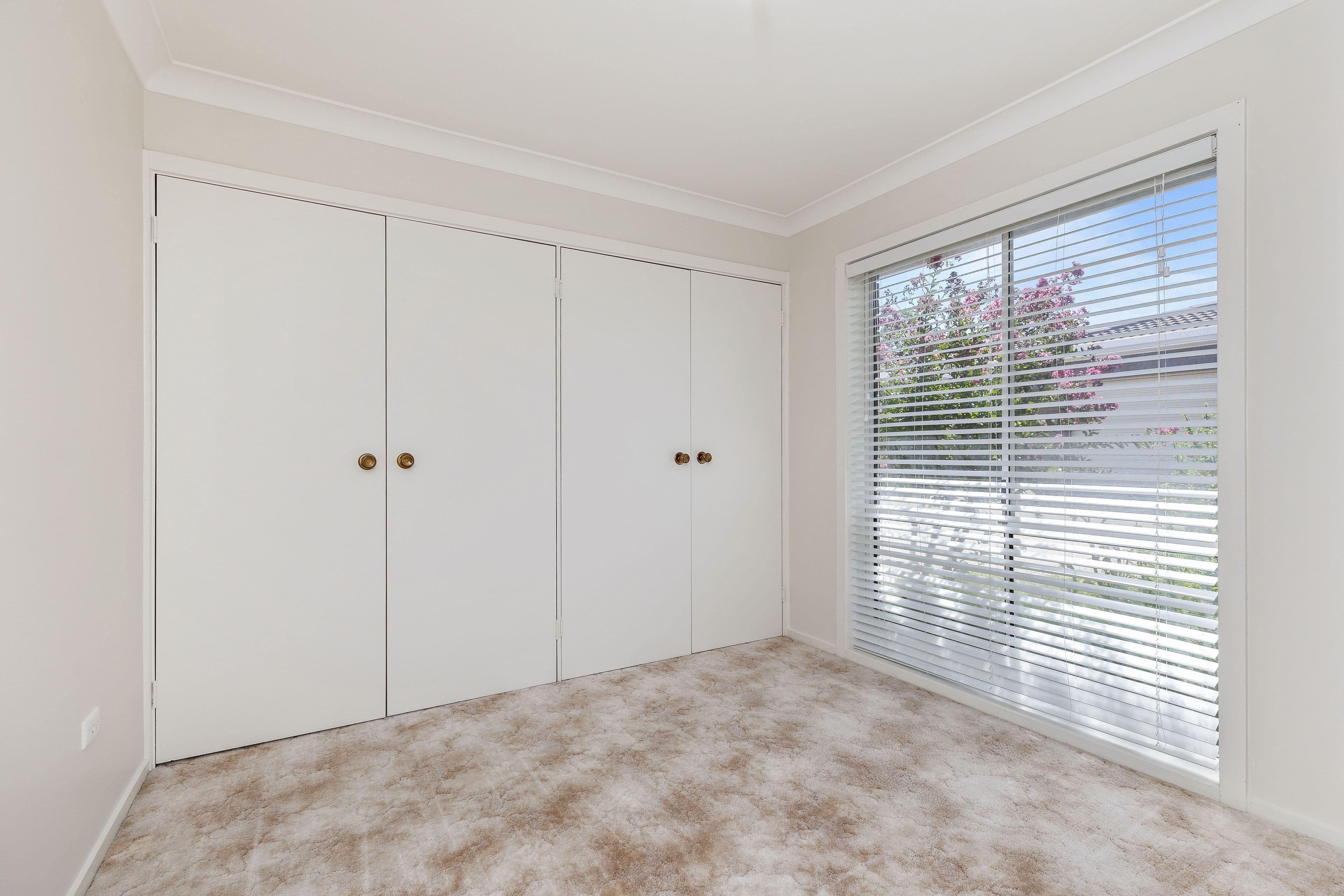 160 Fernleigh Road, Mount Austin NSW 2650, Mount Austin - Thumbnail 5