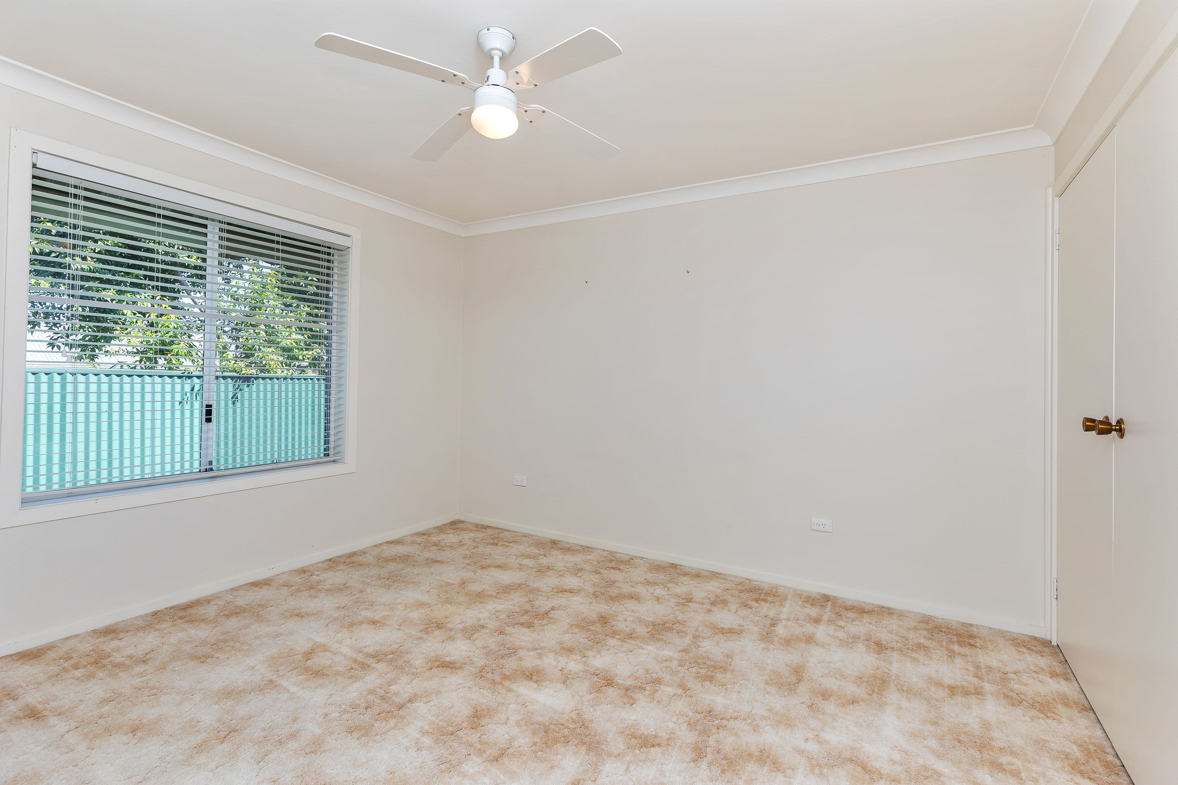 160 Fernleigh Road, Mount Austin NSW 2650, Mount Austin - Thumbnail 6