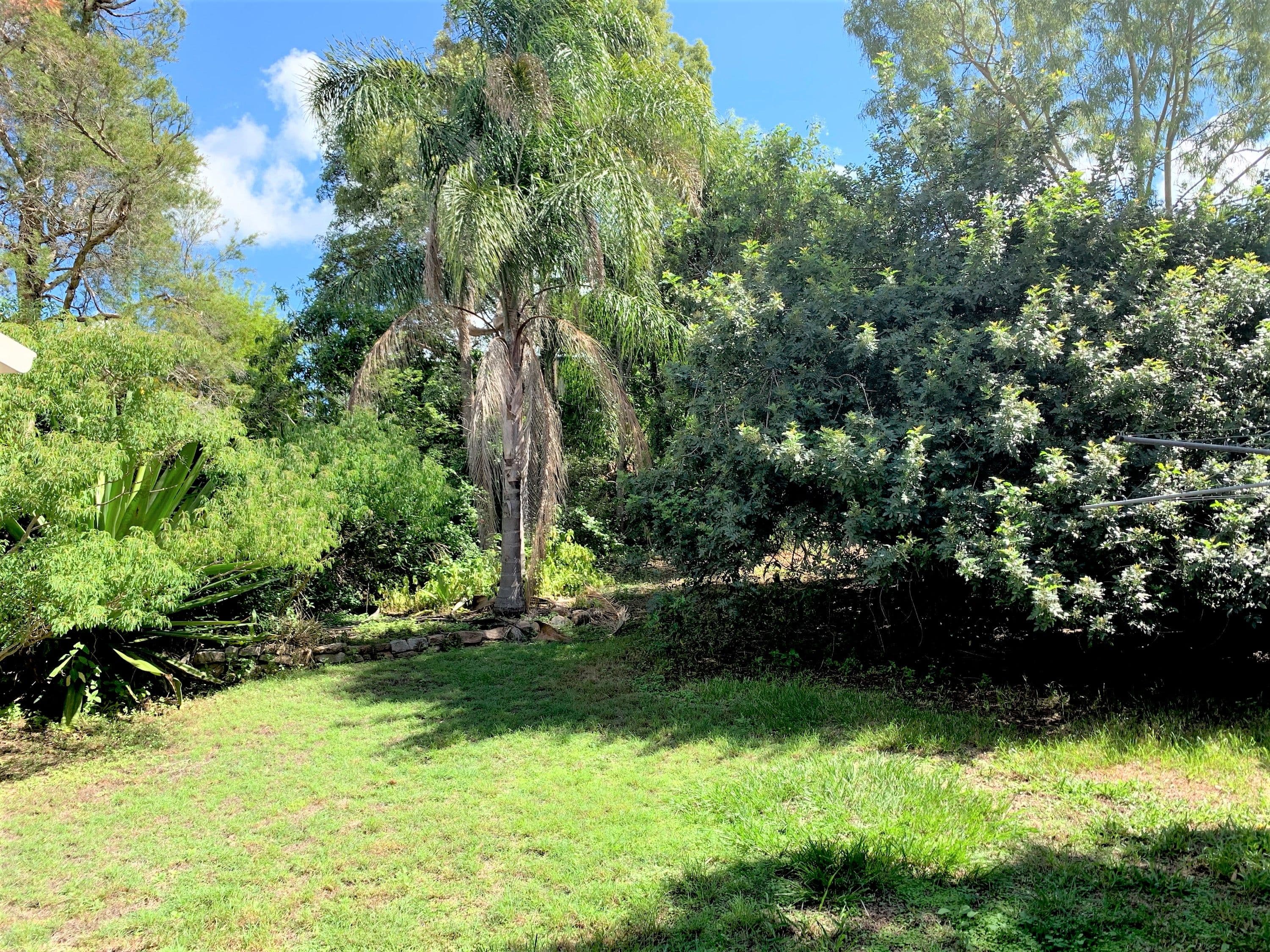 37 Panorama Street, Ashgrove QLD 4060, Ashgrove - Thumbnail 3