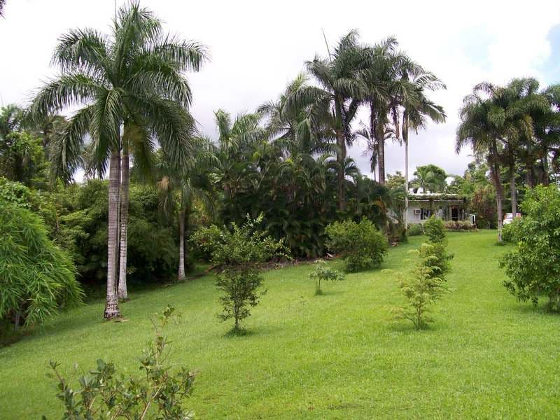No 4 Branch QLD 4856, No 4 Branch - Thumbnail 4