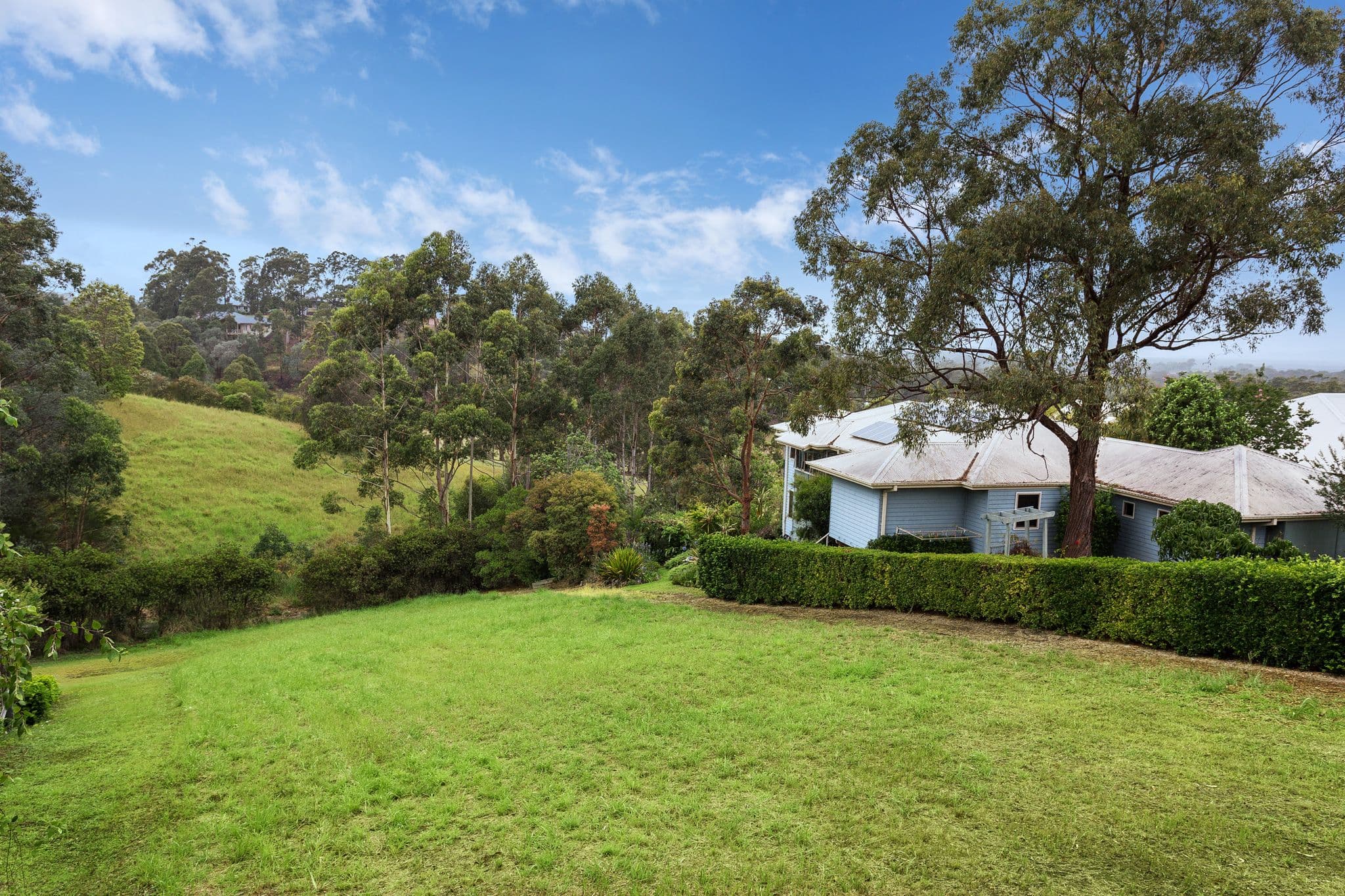 16 The Saddle, Tallwoods Village NSW 2430, Tallwoods Village - Thumbnail 2