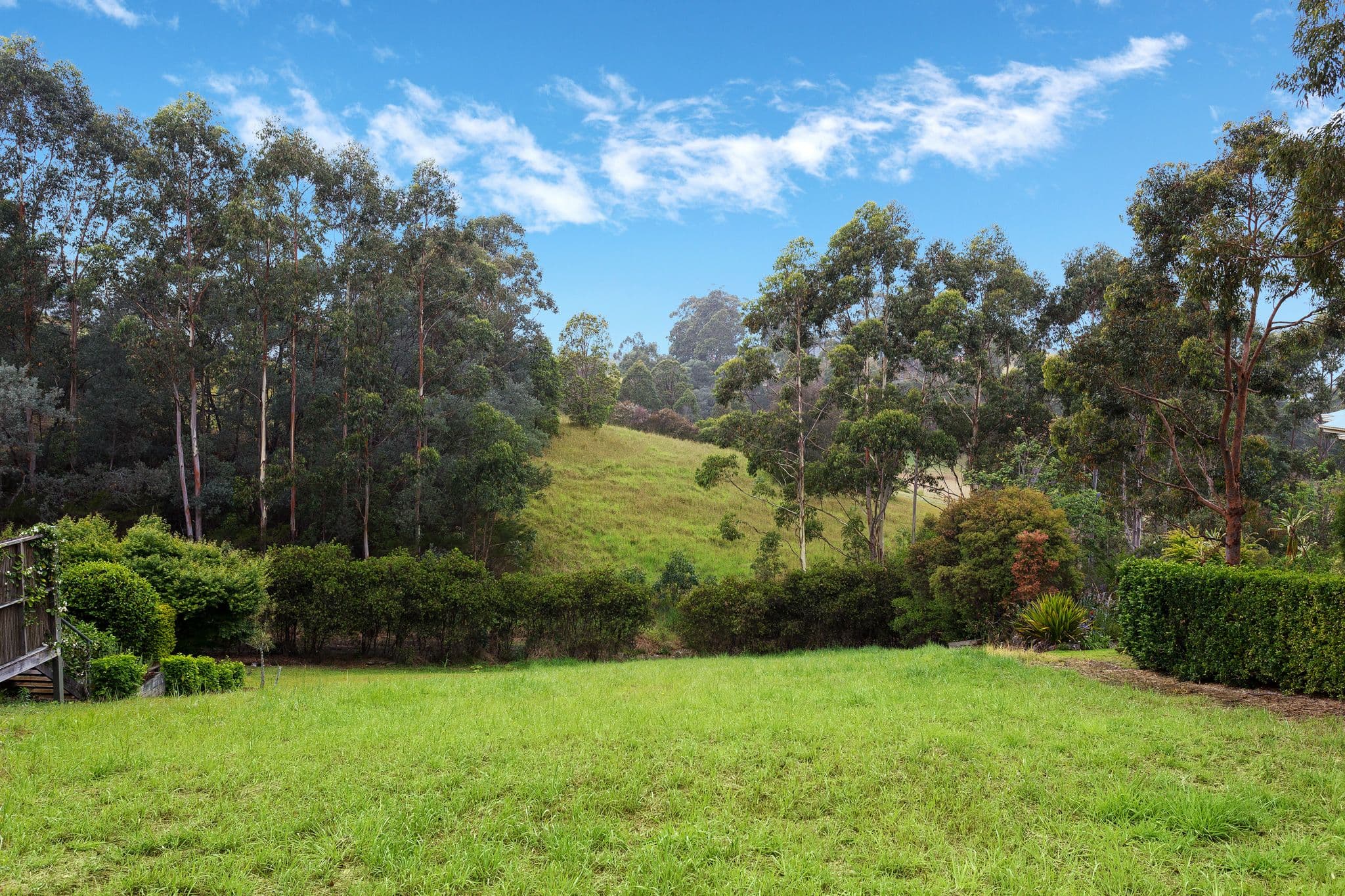 16 The Saddle, Tallwoods Village NSW 2430, Tallwoods Village - Thumbnail 3