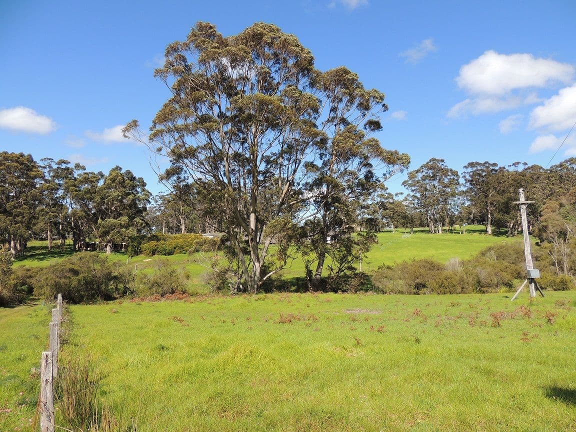 1189 South Coast Highway, Denmark WA 6333, Denmark - Thumbnail 3