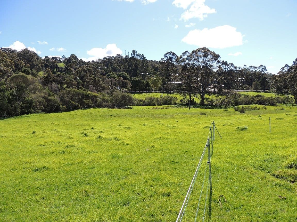1189 South Coast Highway, Denmark WA 6333, Denmark - Thumbnail 4