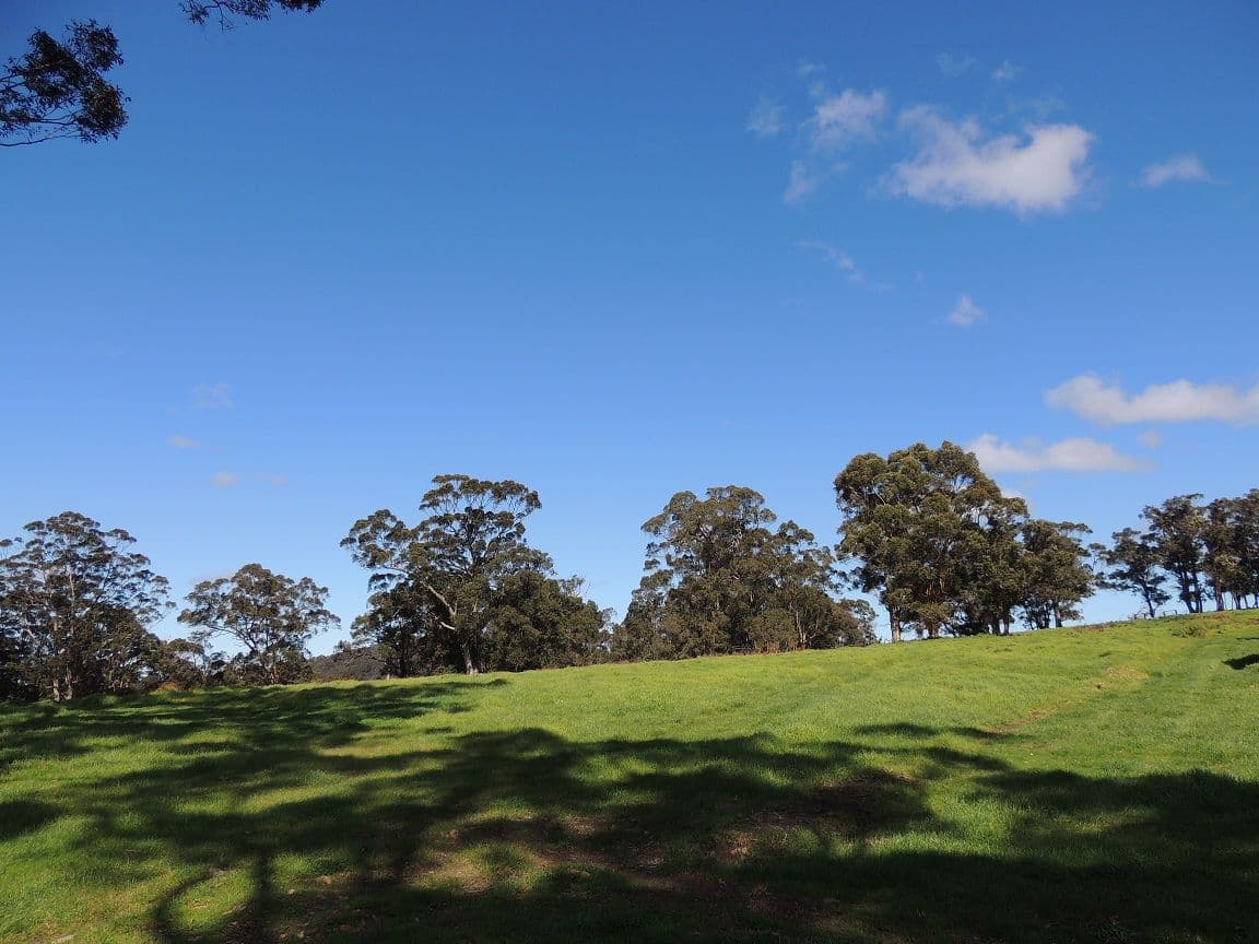 1189 South Coast Highway, Denmark WA 6333, Denmark - Thumbnail 8