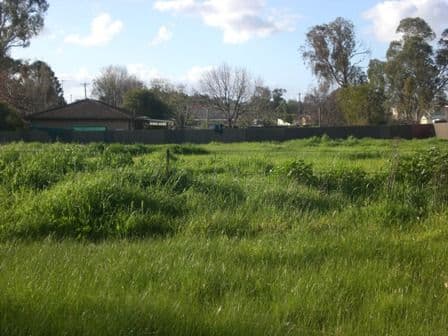 122 Sturt Street, HOWLONG NSW 2643, Howlong - Thumbnail 2