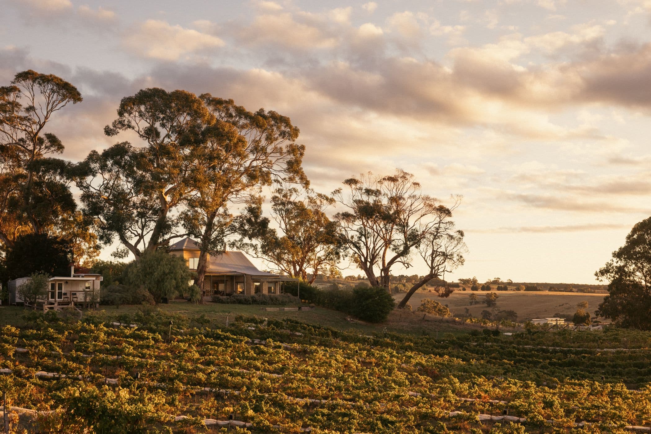 201 Zig Zag Road, Drummond North VIC 3446, Drummond North - Thumbnail 2