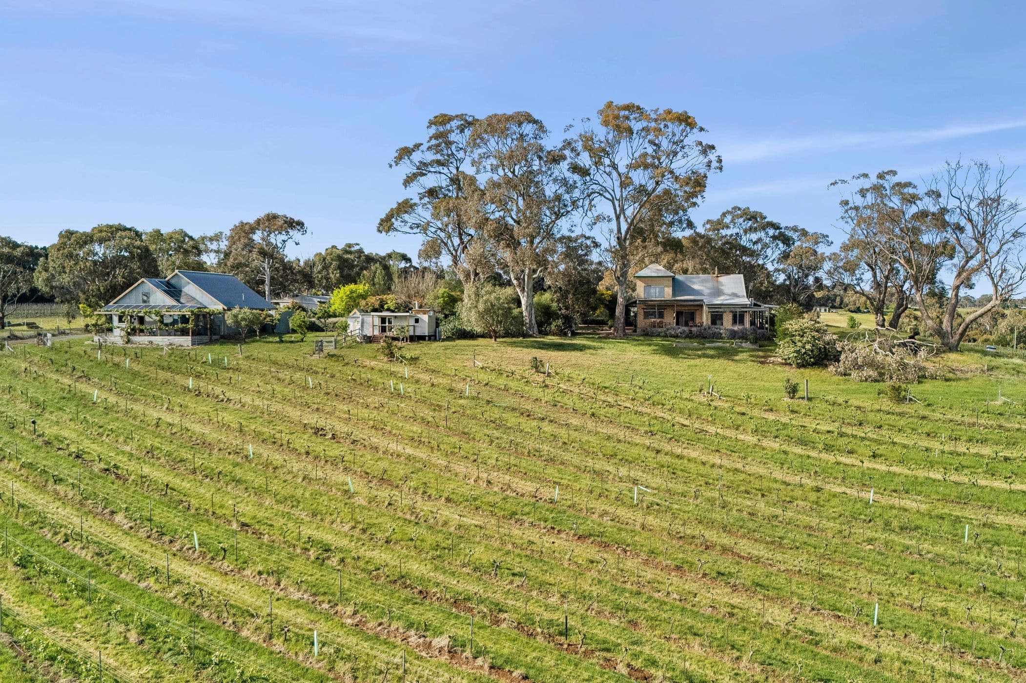 201 Zig Zag Road, Drummond North VIC 3446, Drummond North - Thumbnail 3