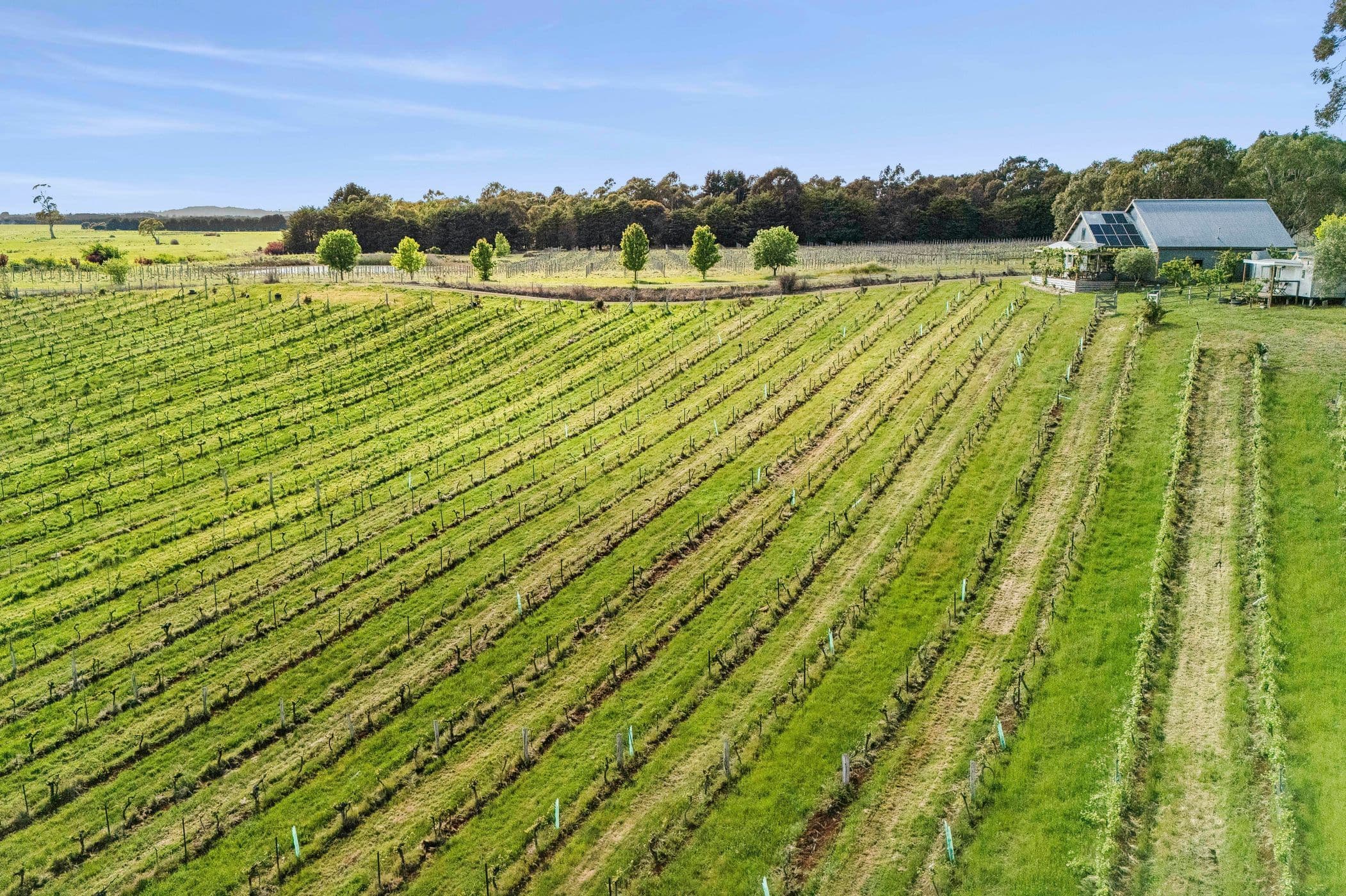 201 Zig Zag Road, Drummond North VIC 3446, Drummond North - Thumbnail 4